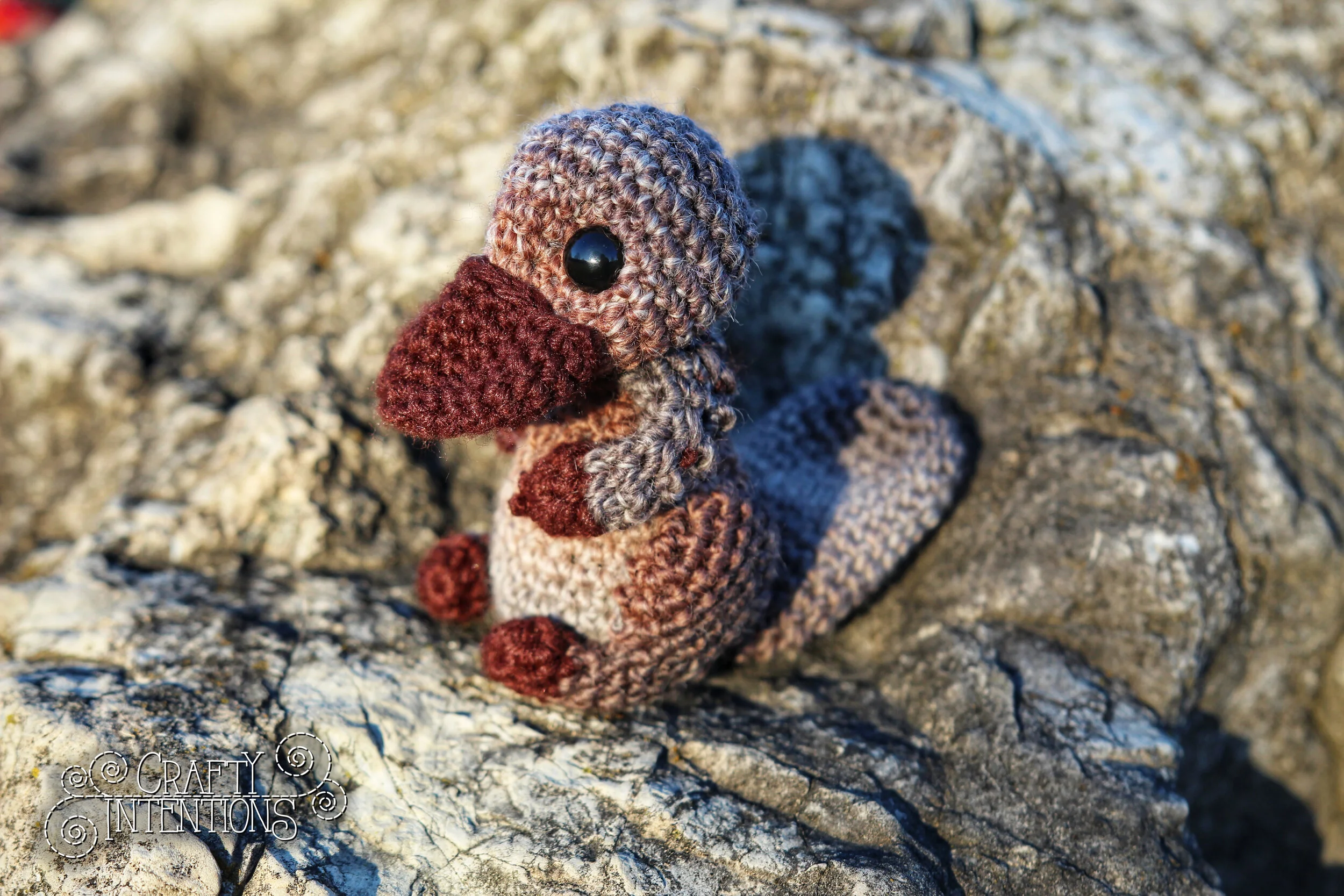 IMG_1566-01 with Logo.jpg