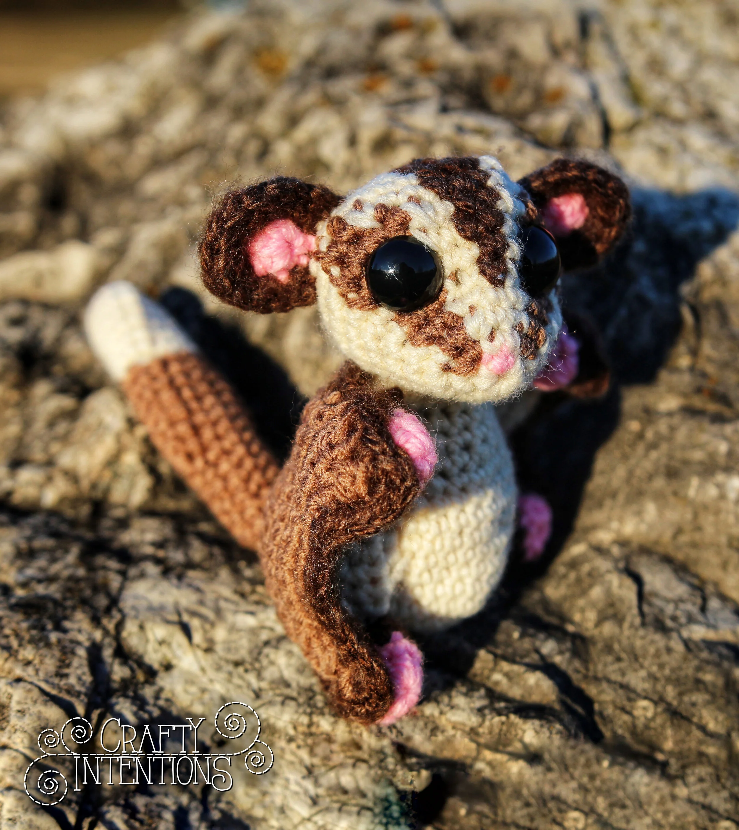 IMG_1577-01 with Logo.jpg