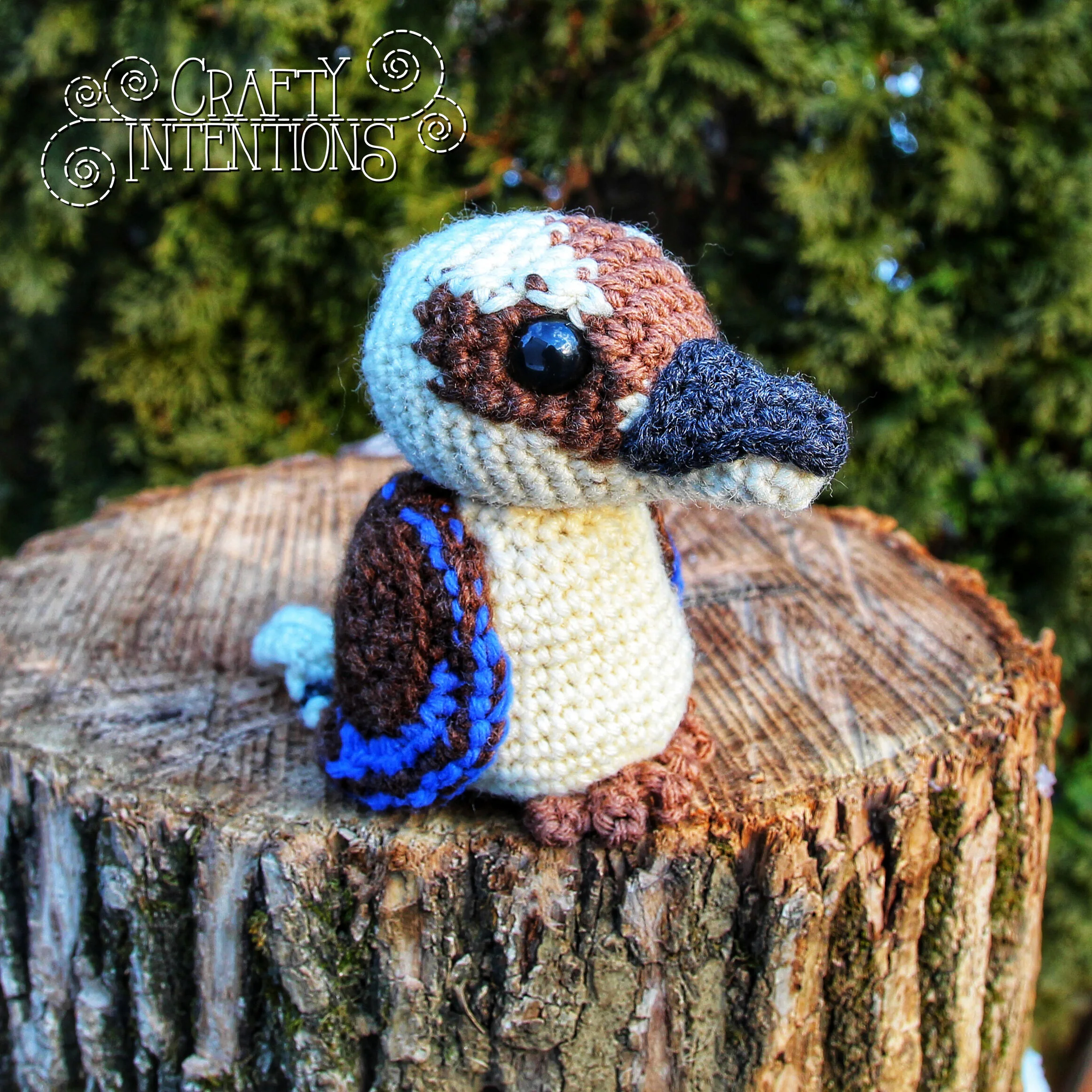 IMG_2369-01 with Logo.jpg