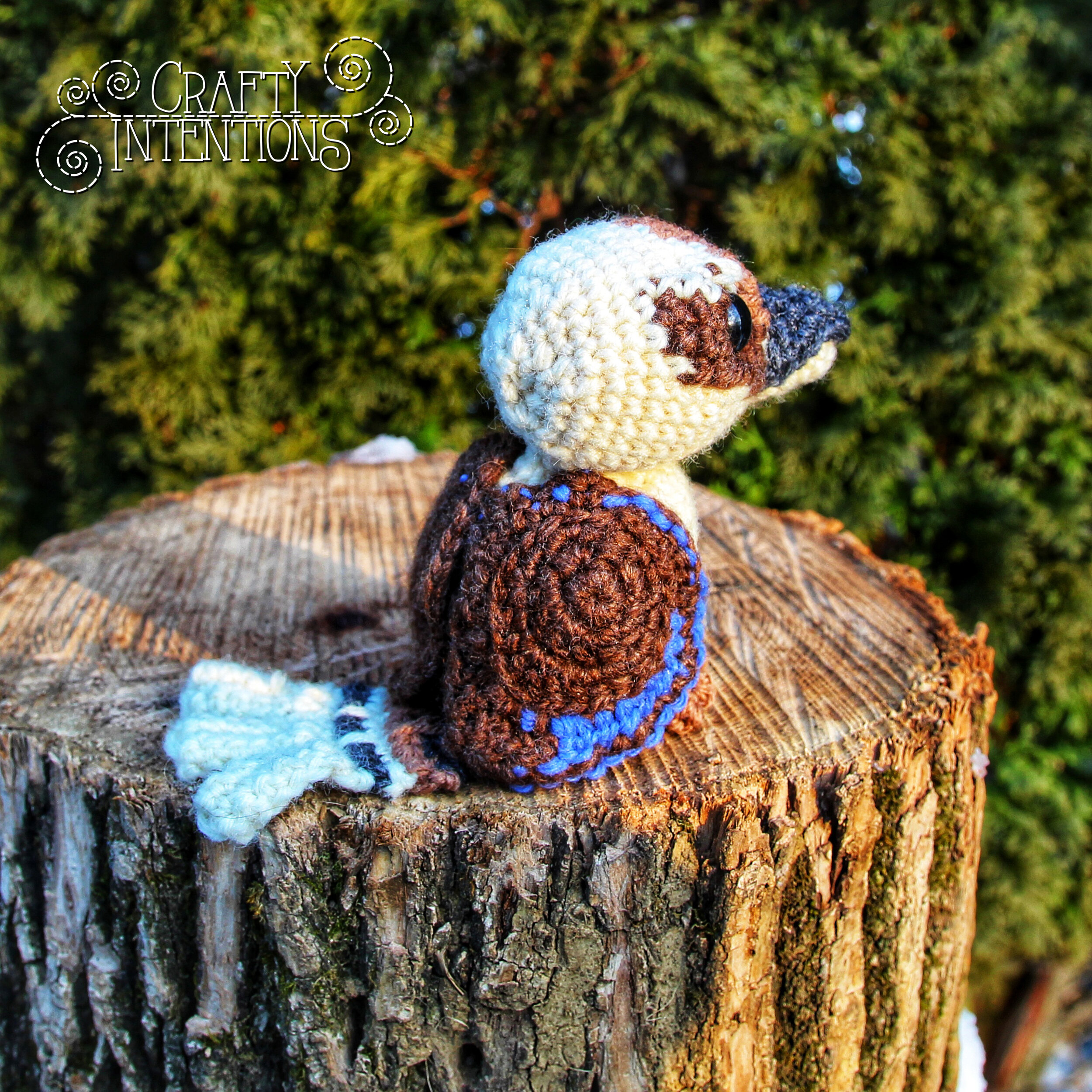 IMG_2373-02 with Logo.jpg