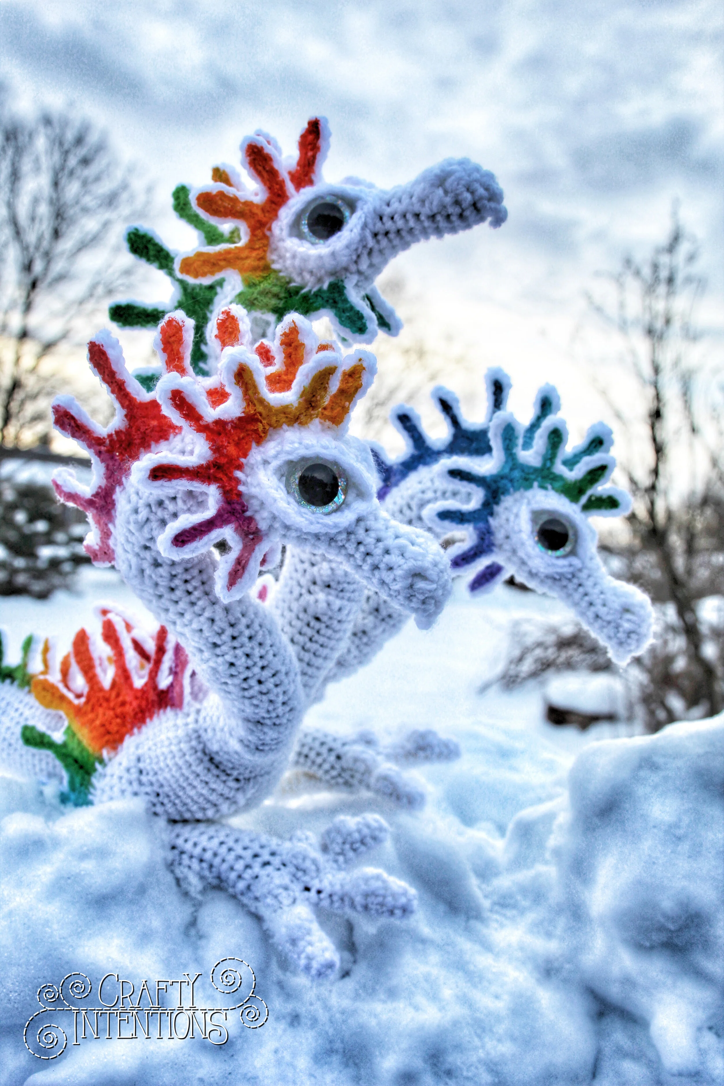 IMG_2064-01 with Logo.jpg