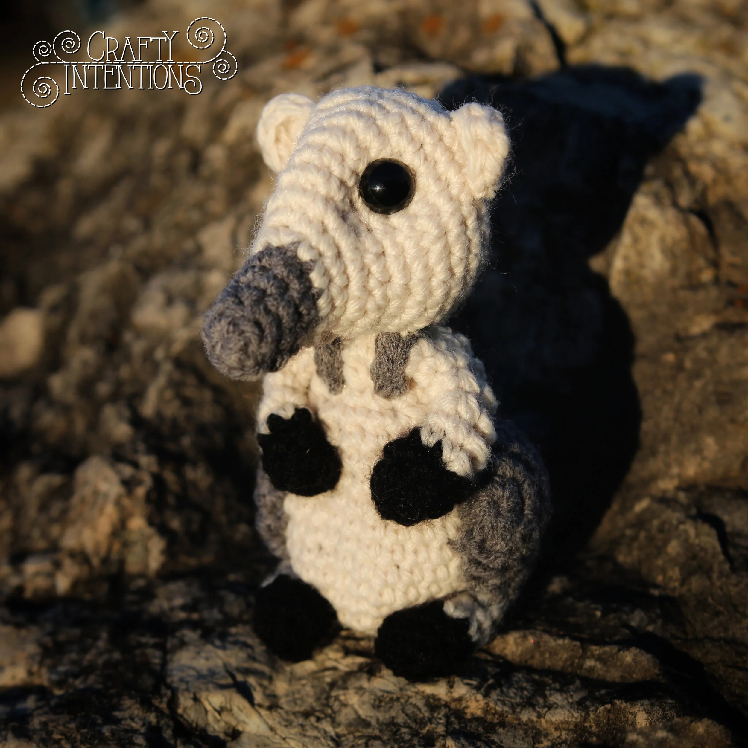 IMG_1617-01 with Logo.jpg