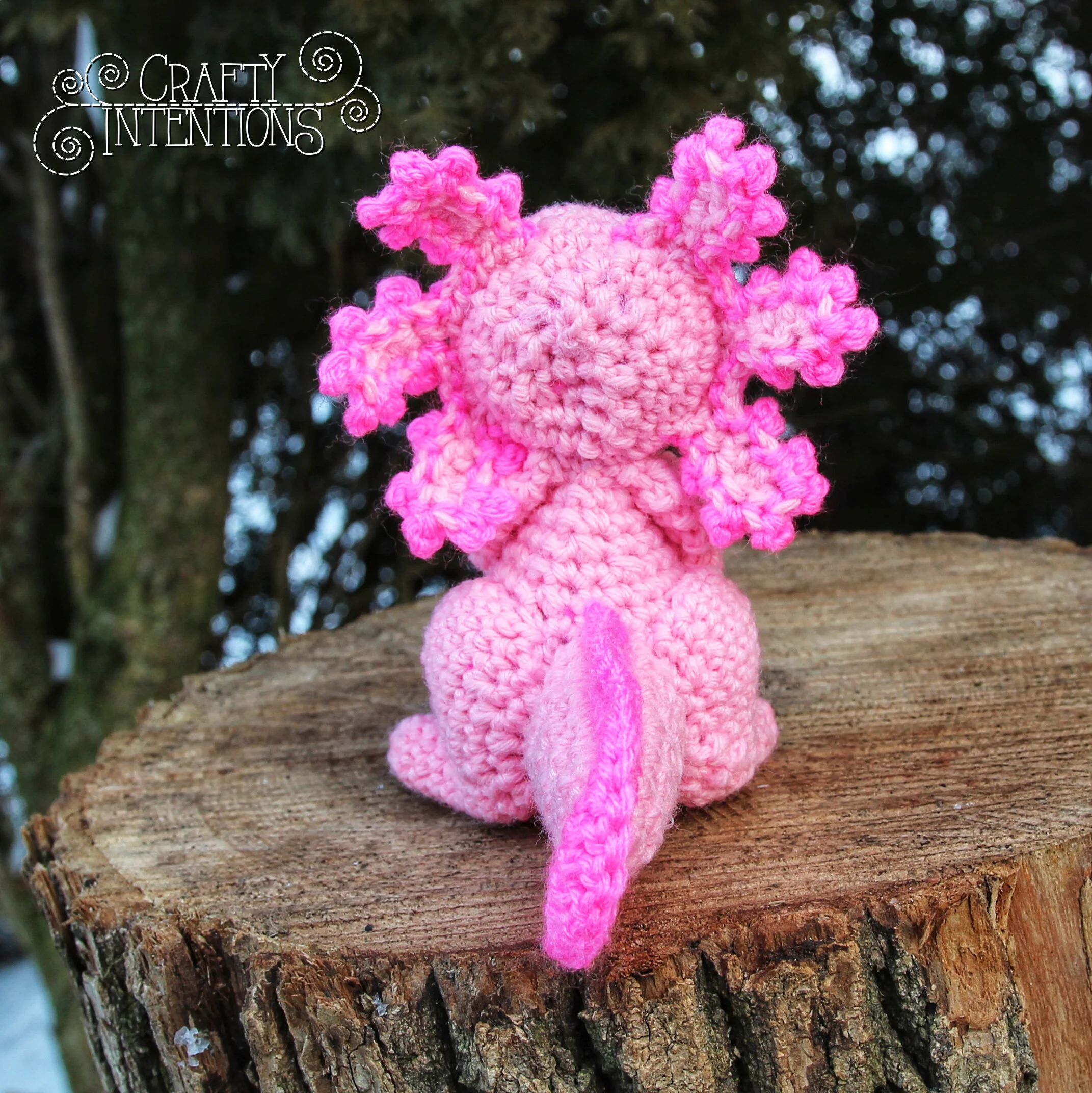 IMG_2419-01 with Logo.jpg