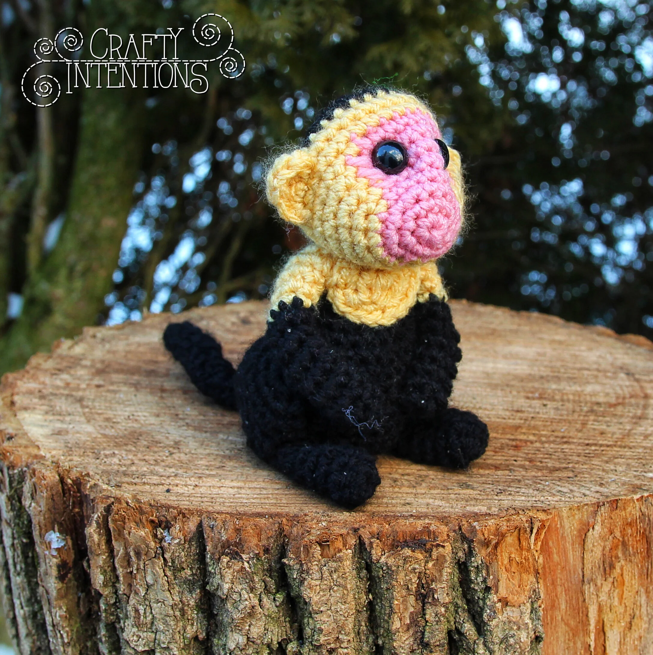 IMG_2438-02 with Logo.jpg