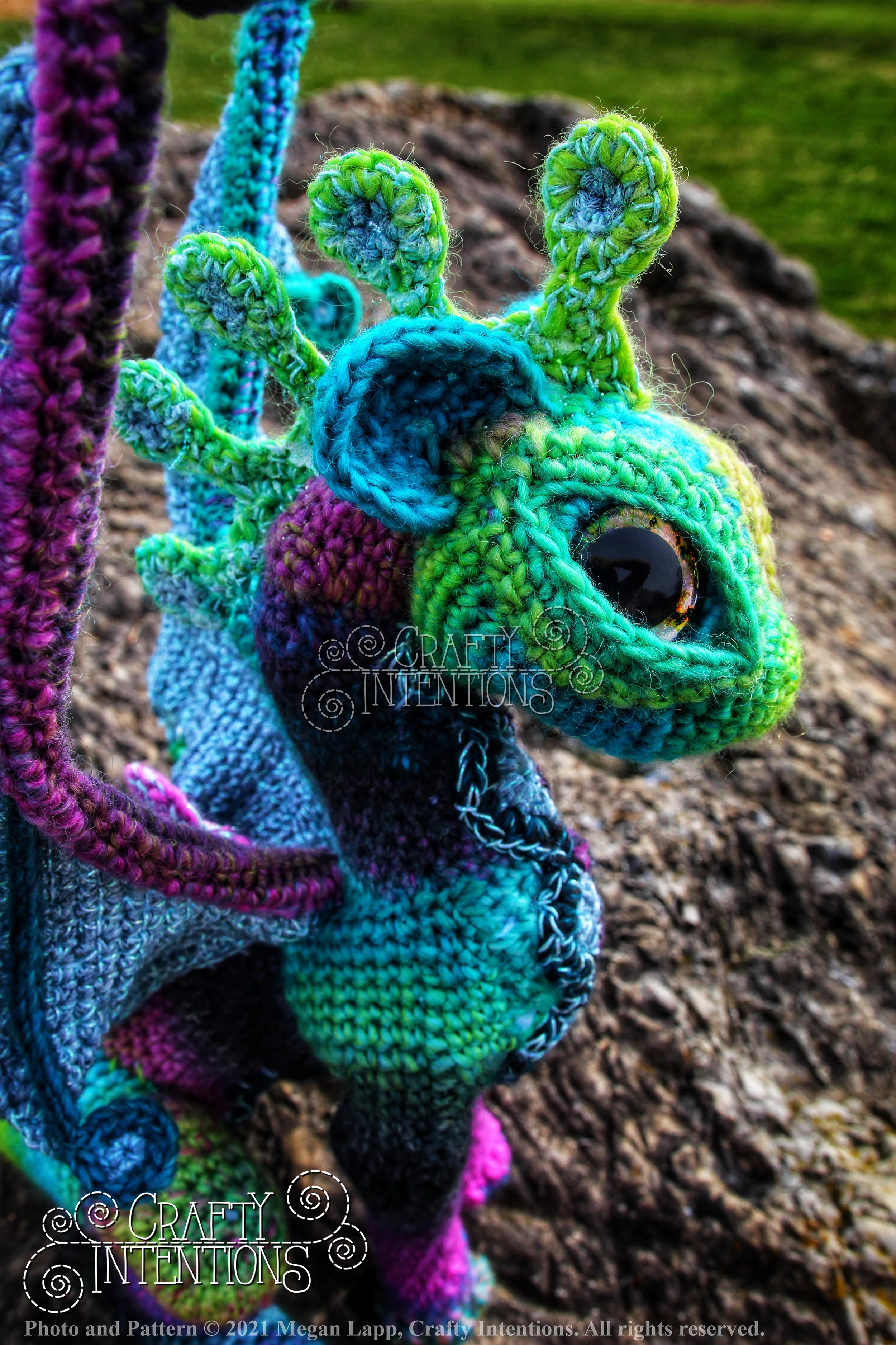 IMG_3433-01 with copyright and logo.jpg