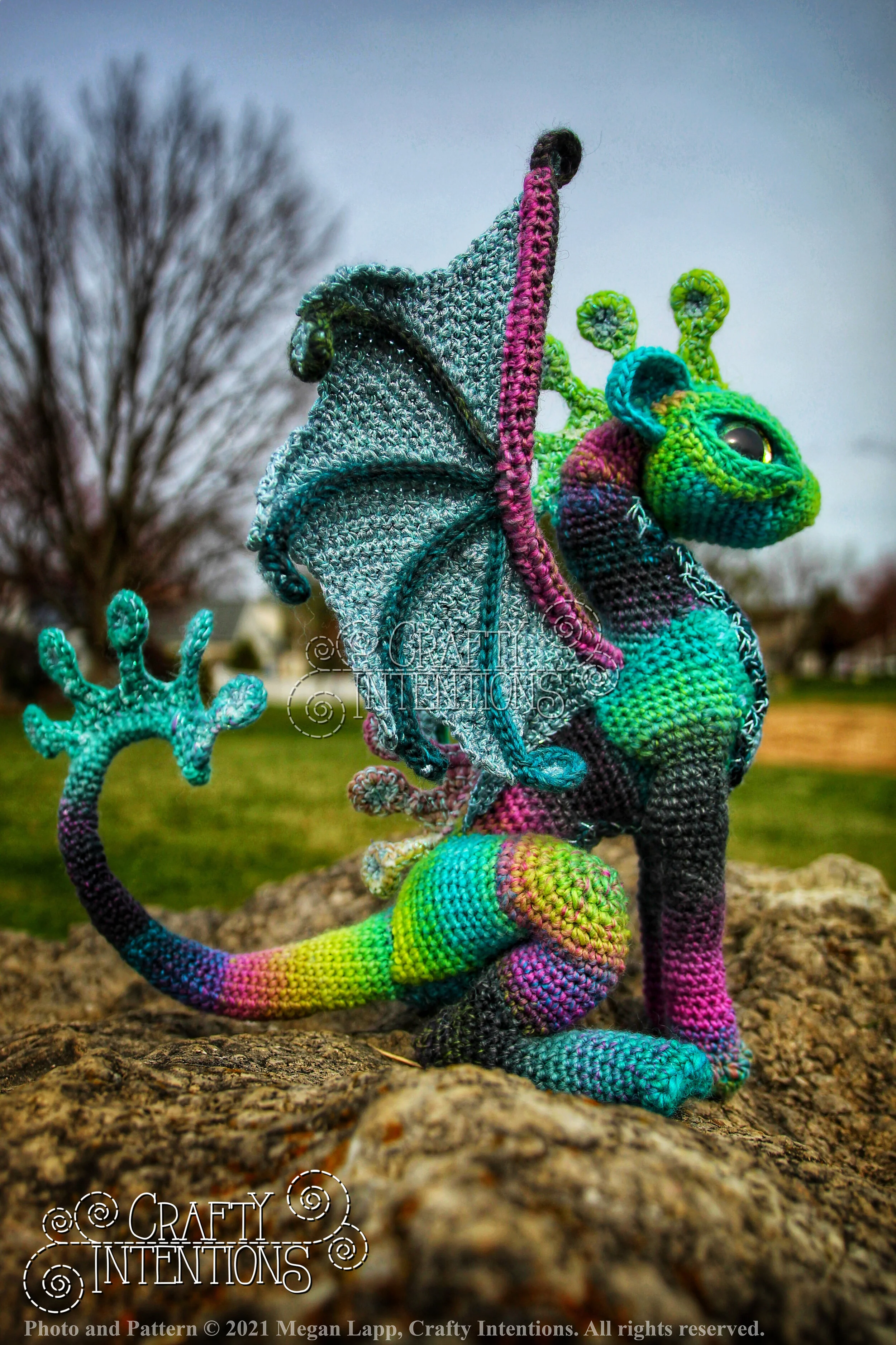 IMG_3507-01 with logo and copyright.jpg