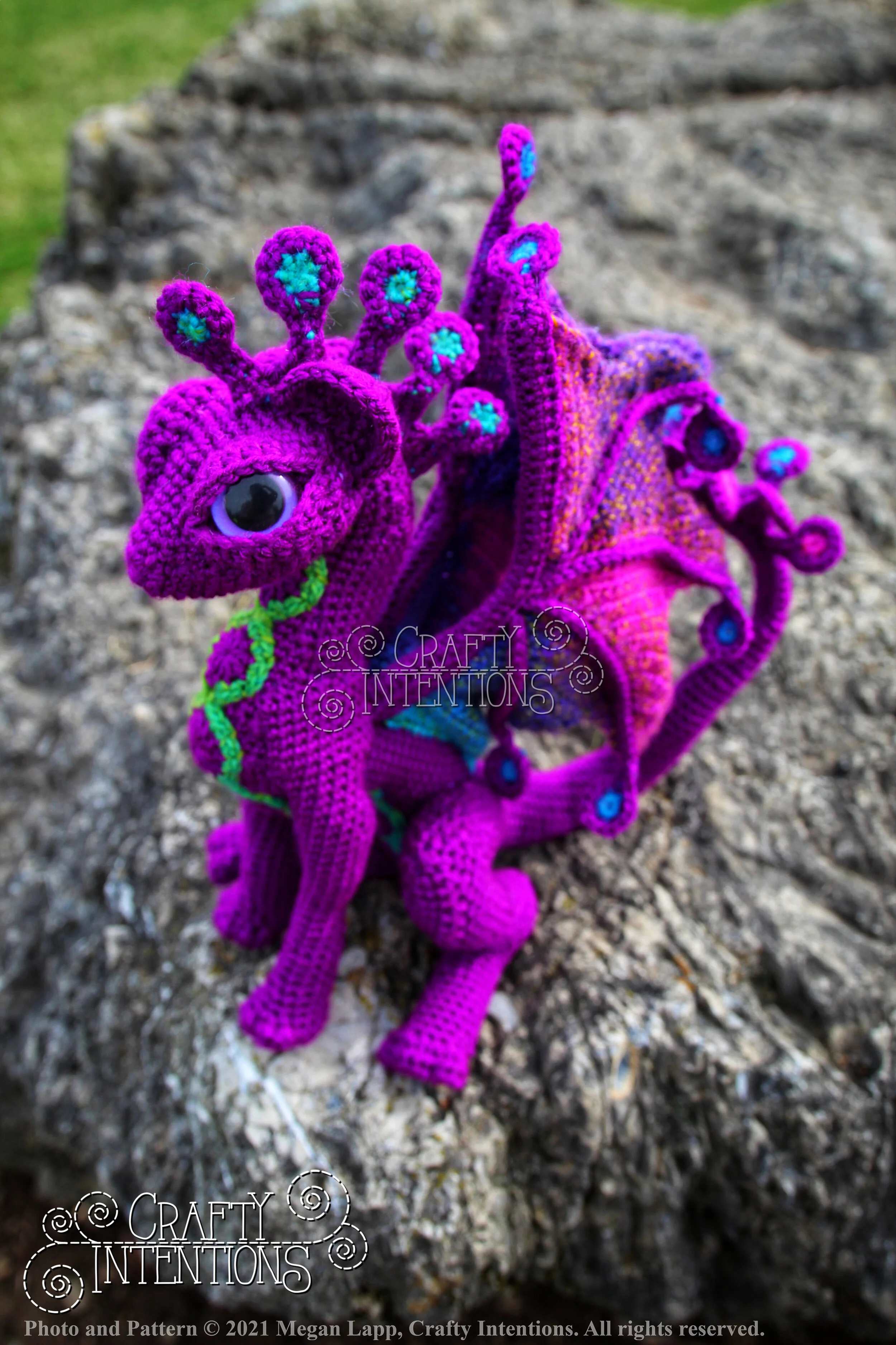 IMG_3550-01 with logo and copyright.jpg