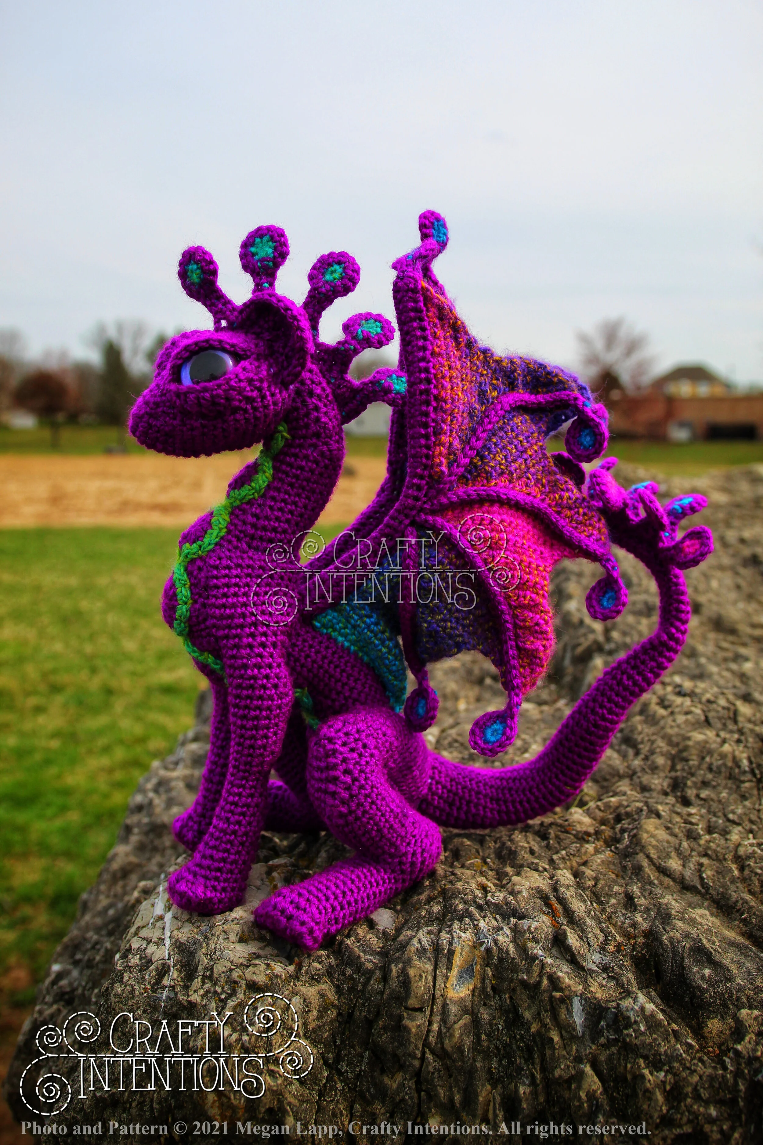 IMG_3560-01 copyright and logo.jpg