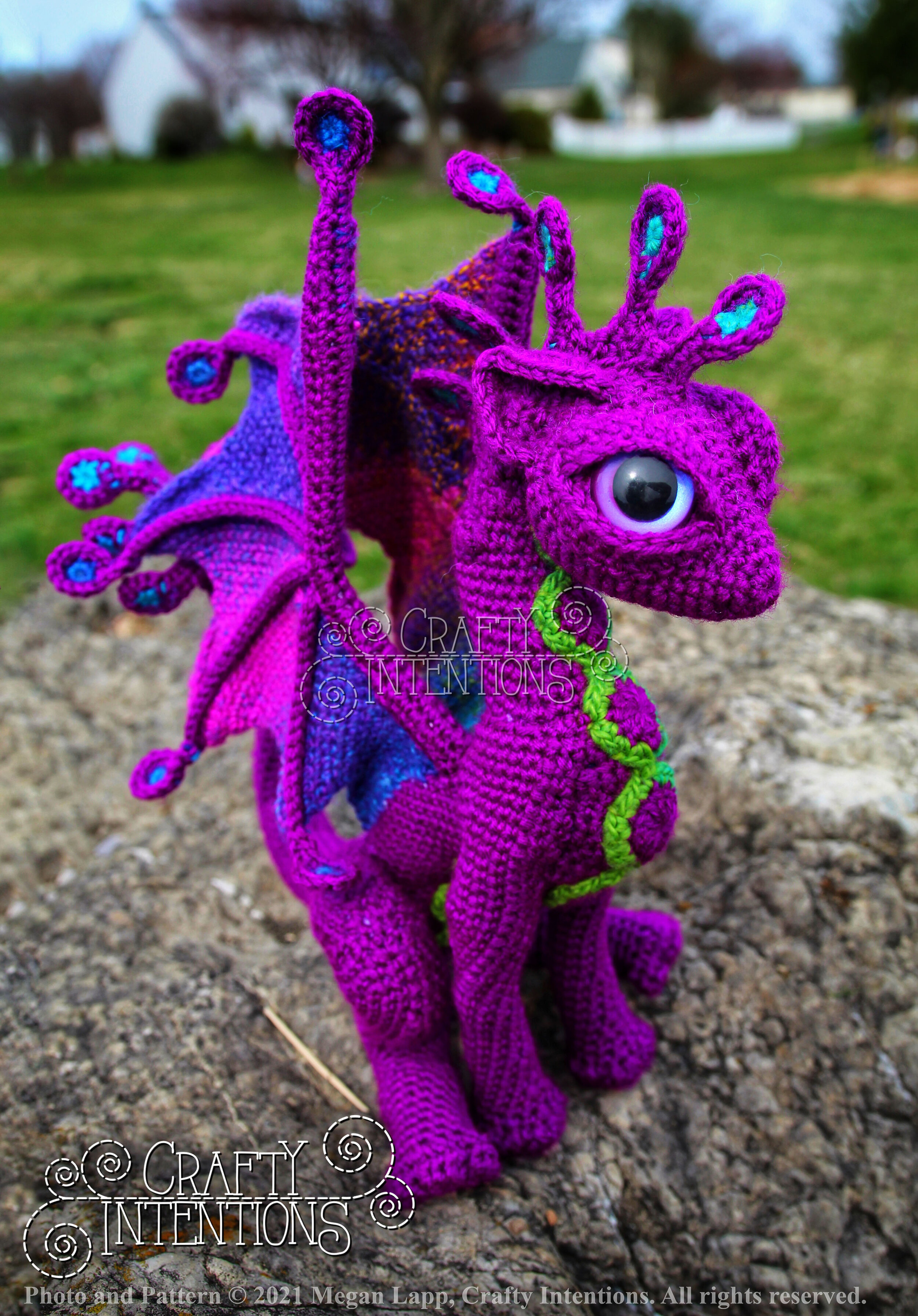 IMG_3569-02 with copyright and logo.jpg