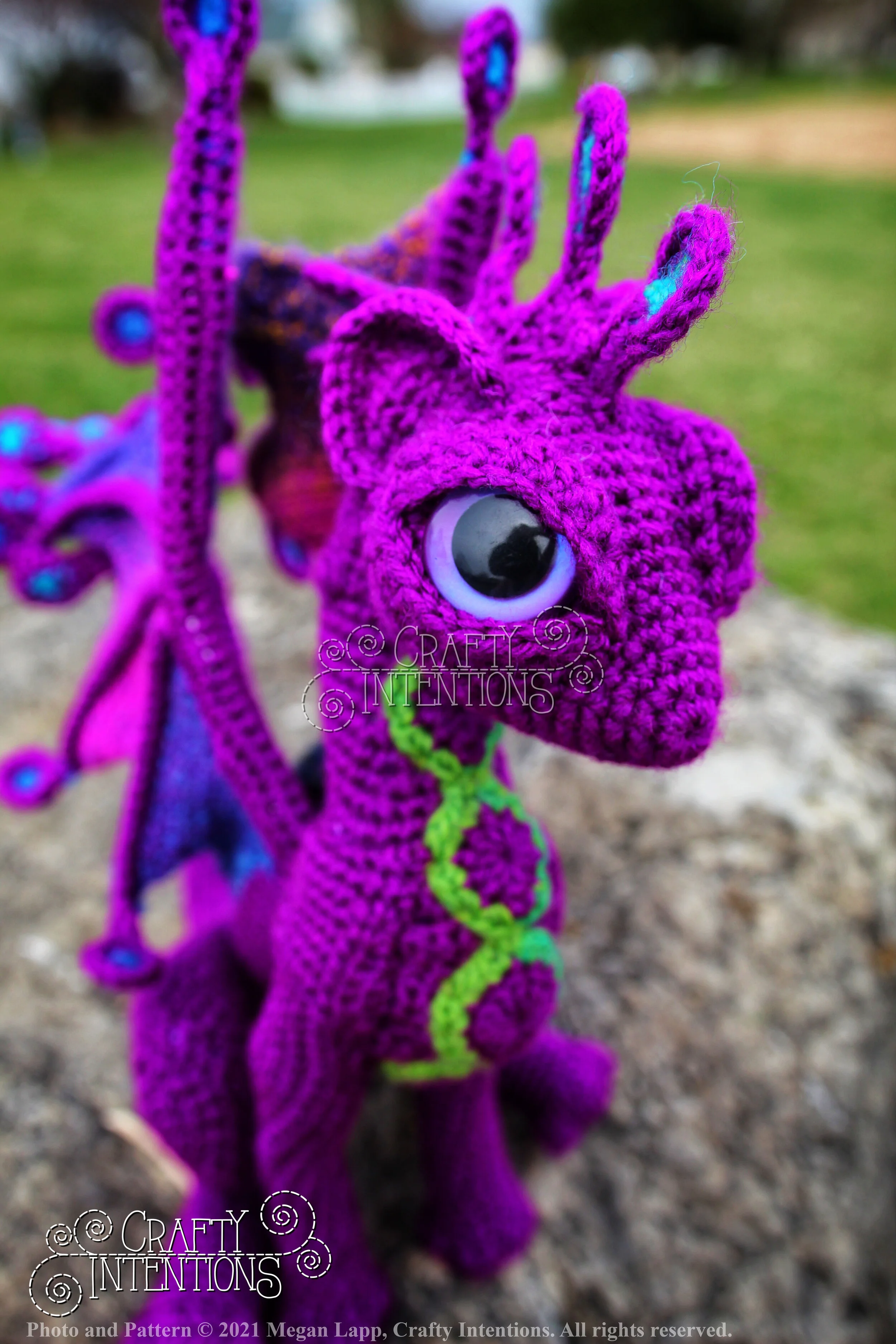 IMG_3595-01 with copyright and logo.jpg