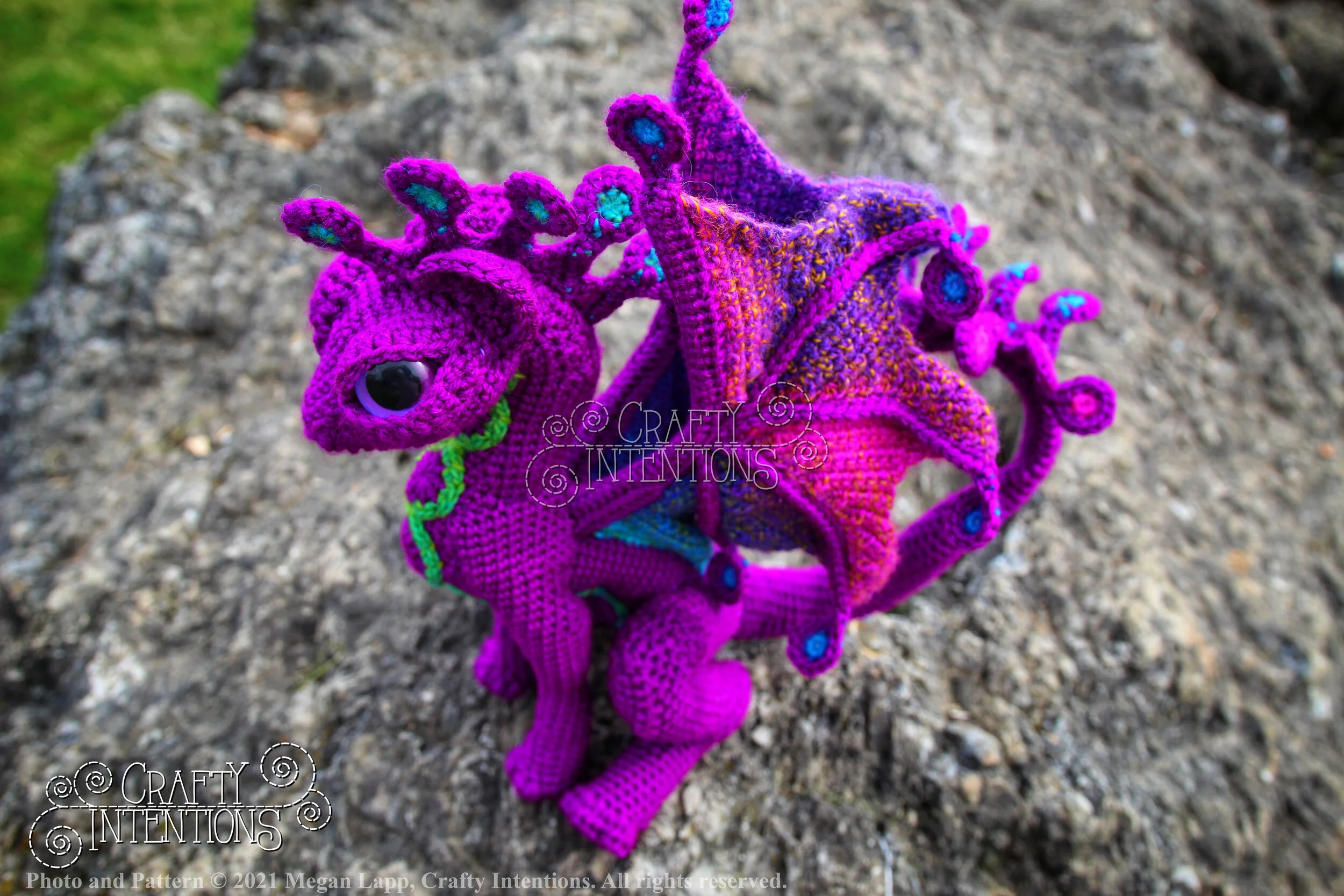 IMG_3602-01 with copyright and logo.jpg