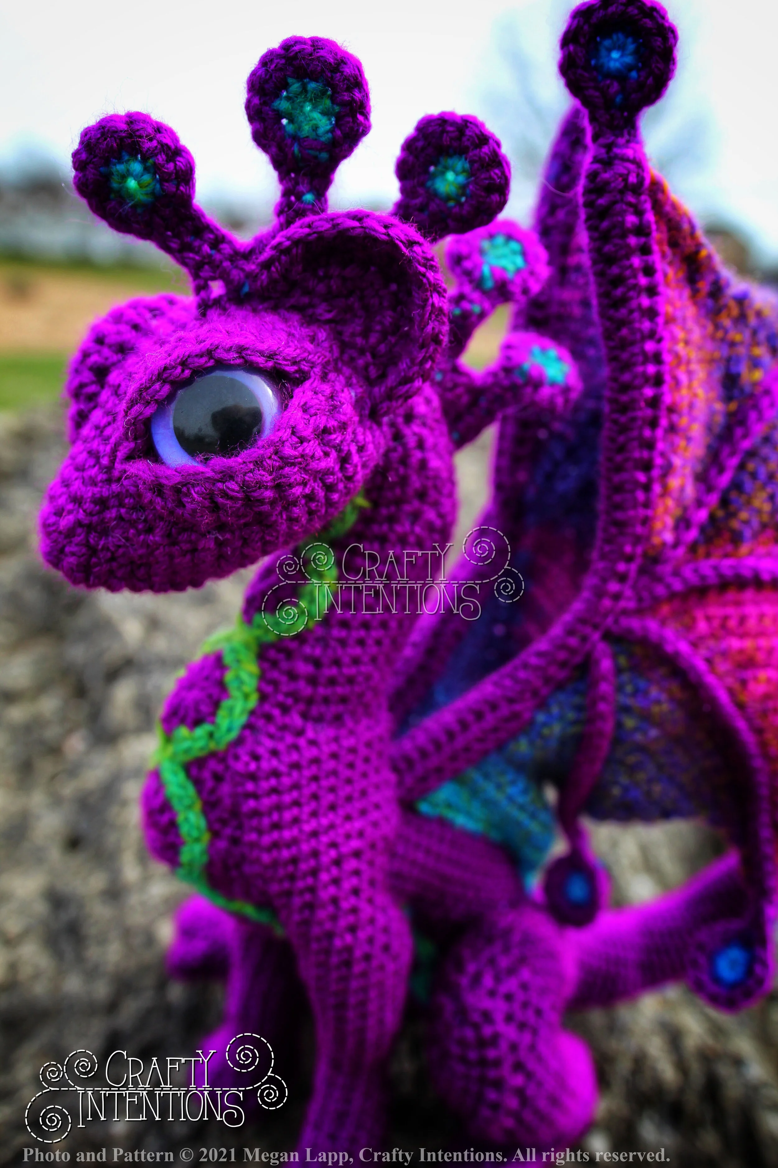 IMG_3607-01 with logo and copyright.jpg