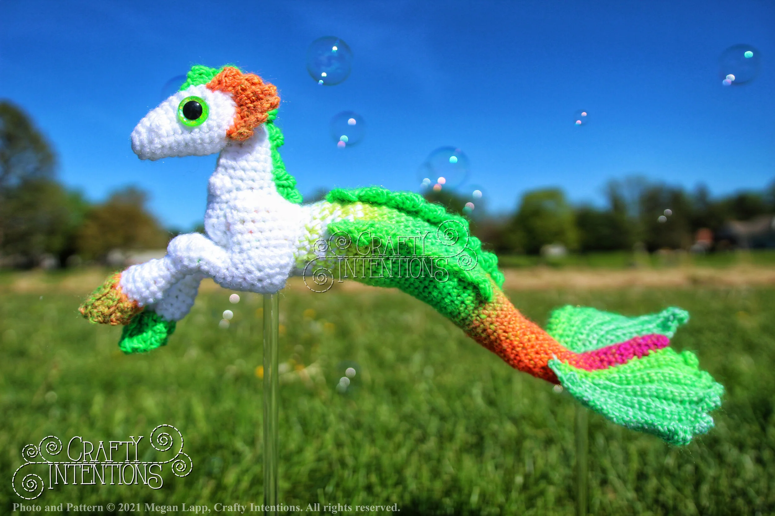 IMG_5171-02 with Logo and Copyright.jpg