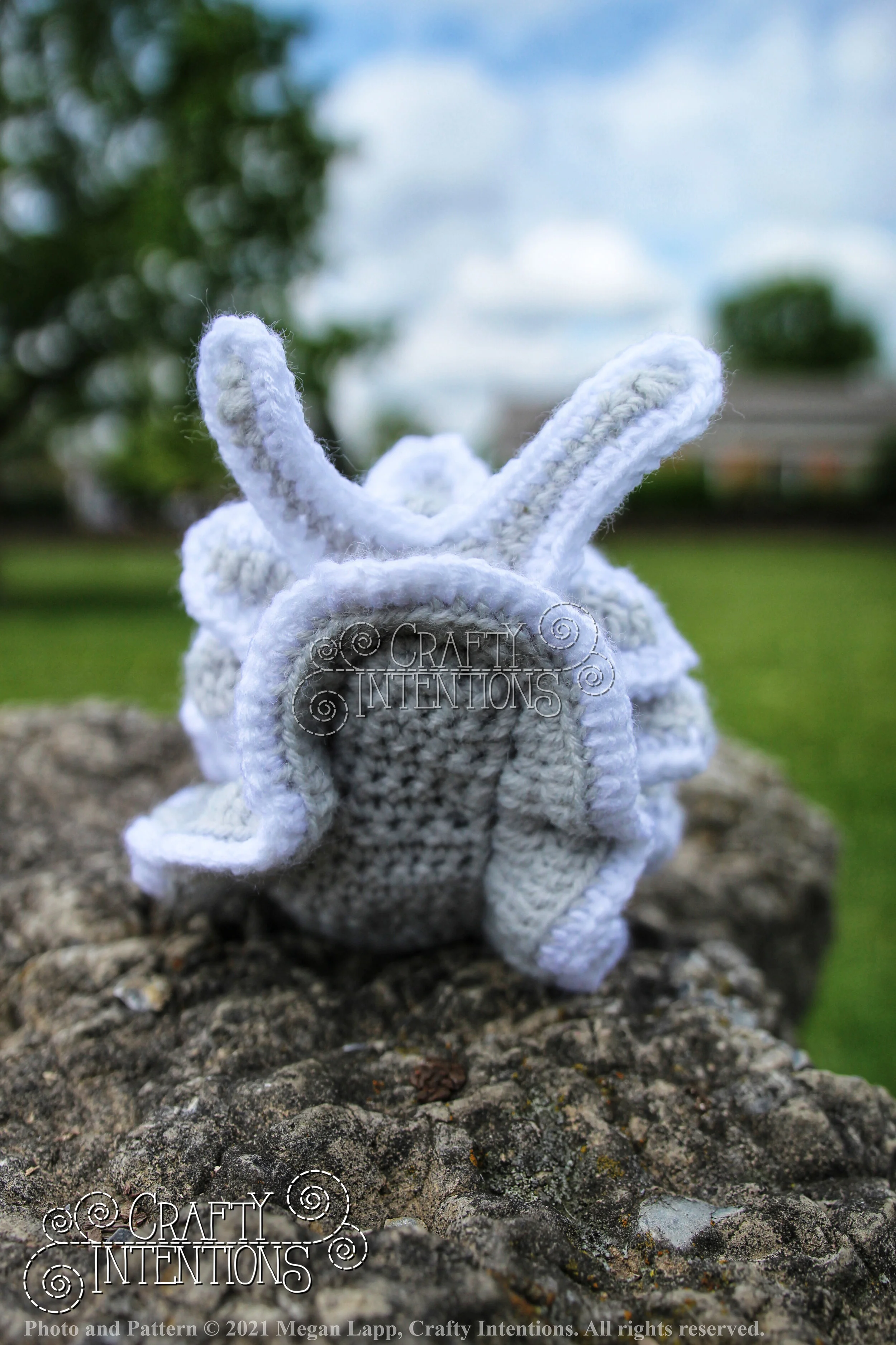 Style 2 Dirona Albolineata IMG_6655-01 with Logo and Copyright.jpg