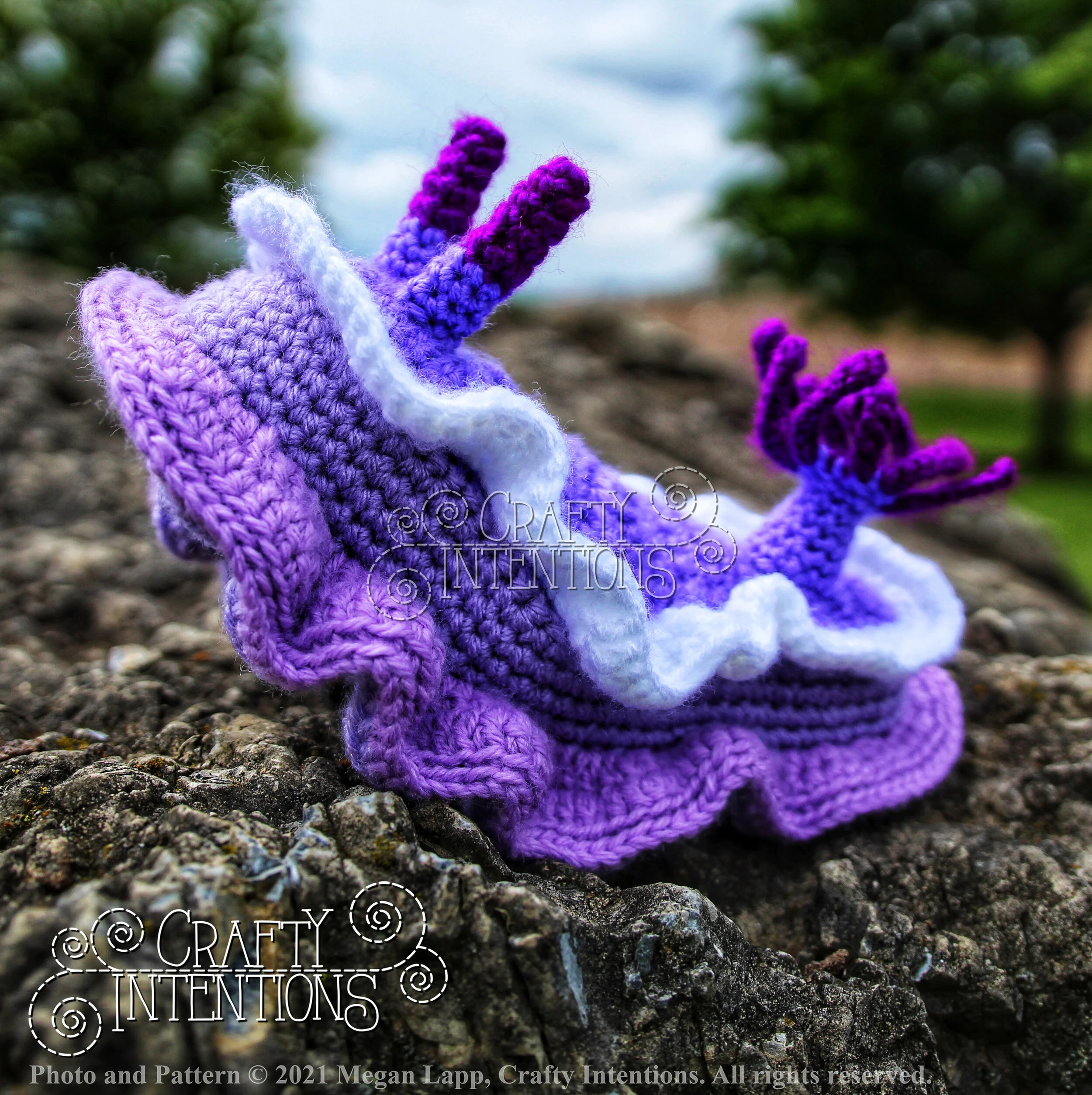 Style 2 Hypselodoris Bullocki IMG_6585-01 with Logo and Copyright.jpg