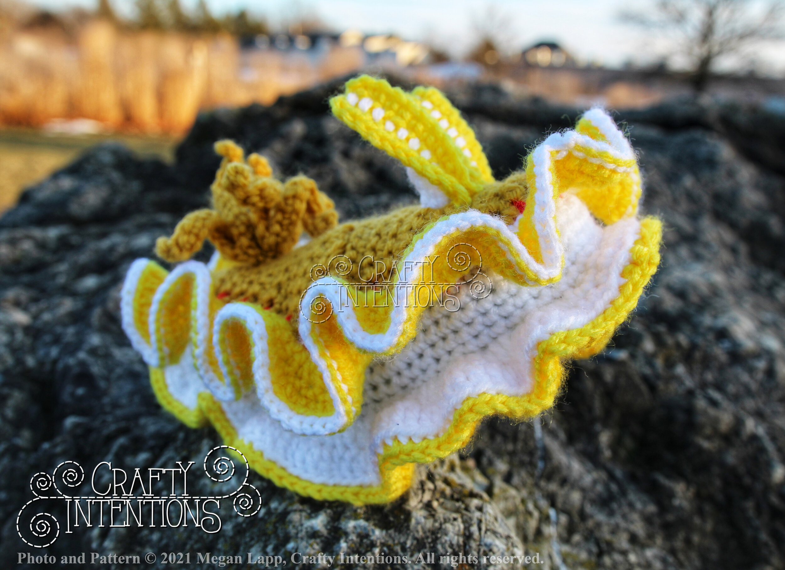 Style 3 Ardeadoris Cruenta IMG_2471-01 with Copyright and Logo.jpg