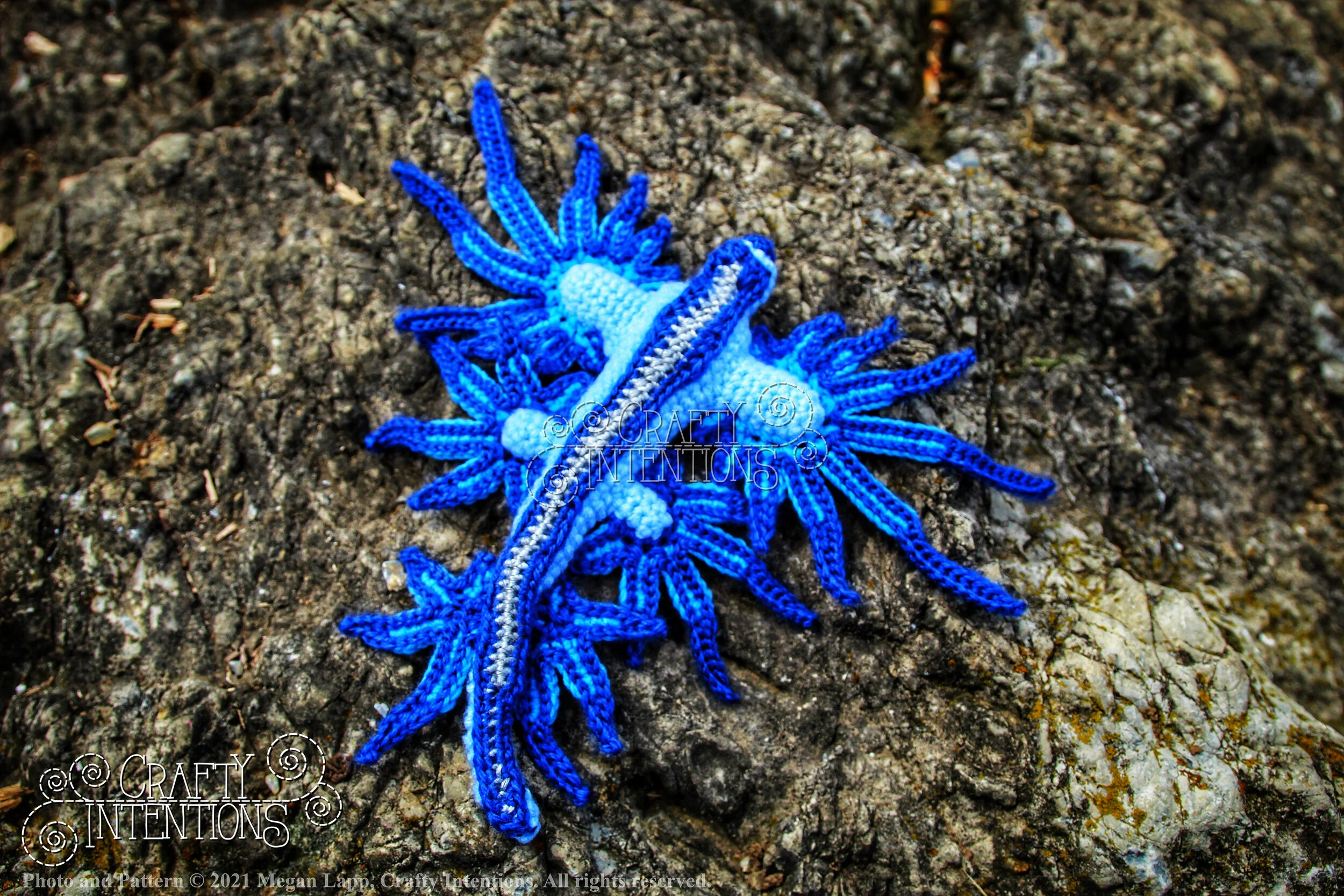 Style 4 Glaucus Atlanticus IMG_6718-01 with Logo and Copyright.jpg