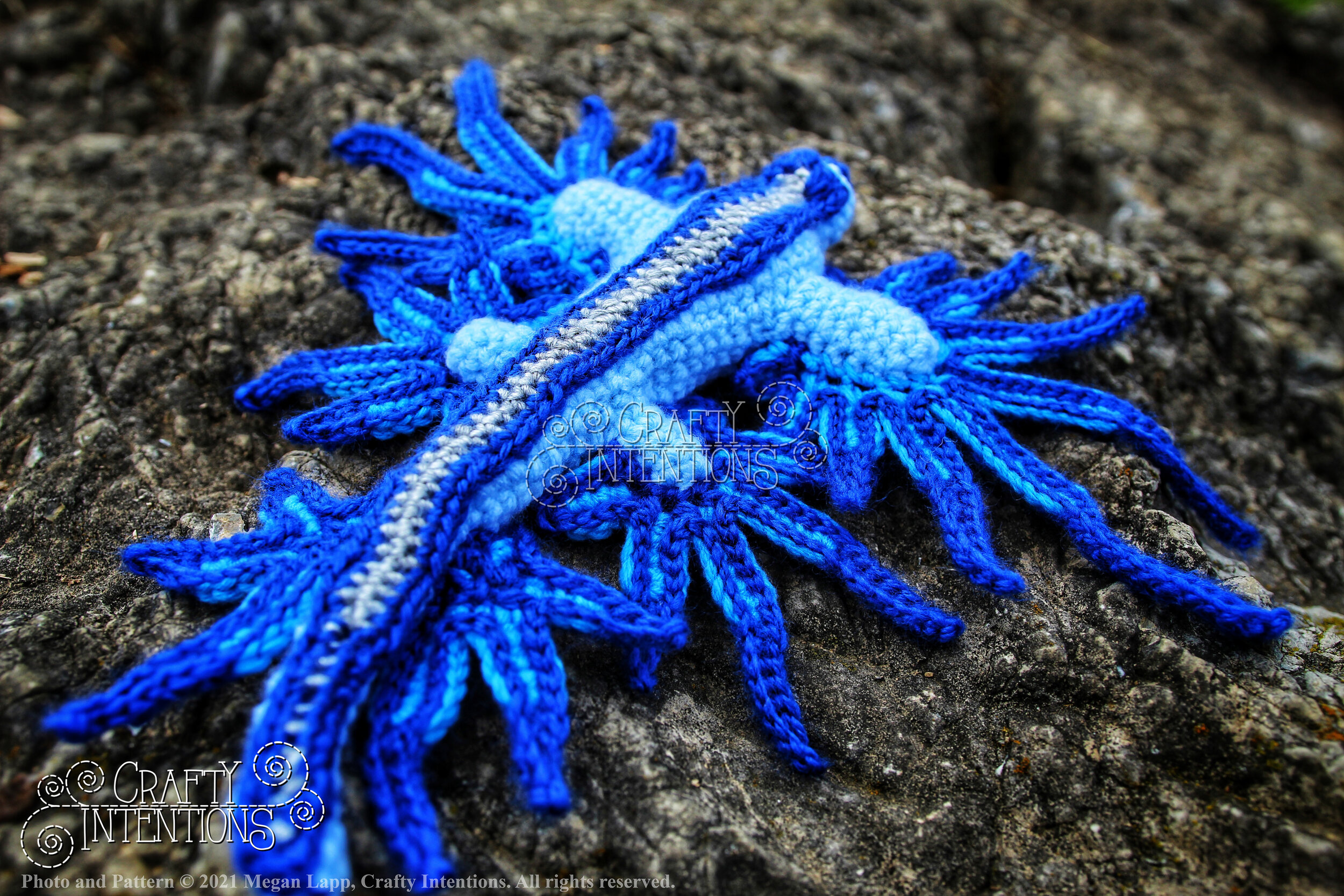 Style 4 Glaucus Atlanticus IMG_6753-01 with Logo and Copyright.jpg