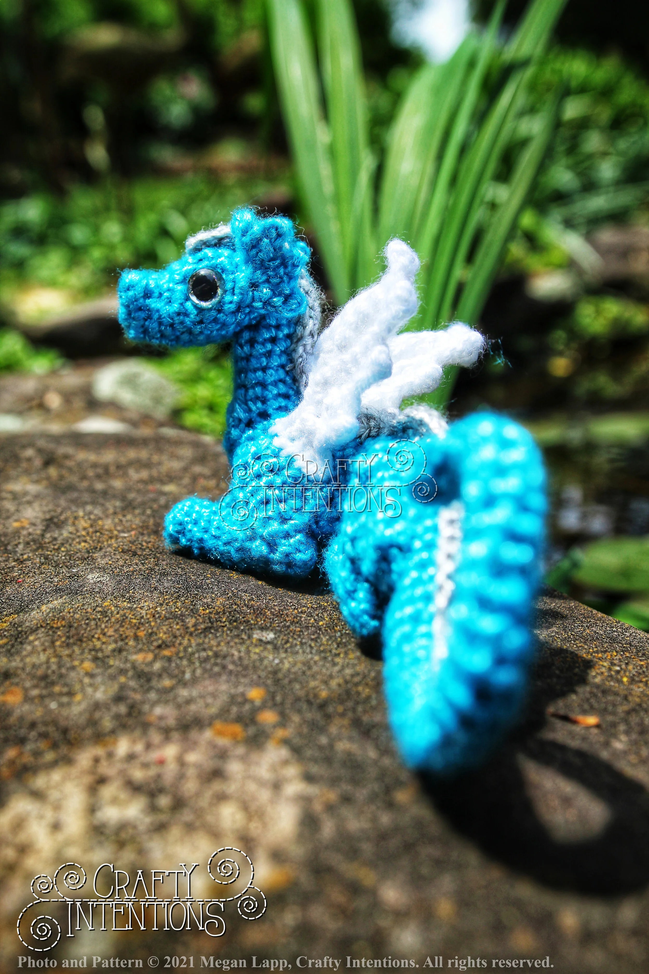 IMG_8575-01 with Logo and Copyright.jpg