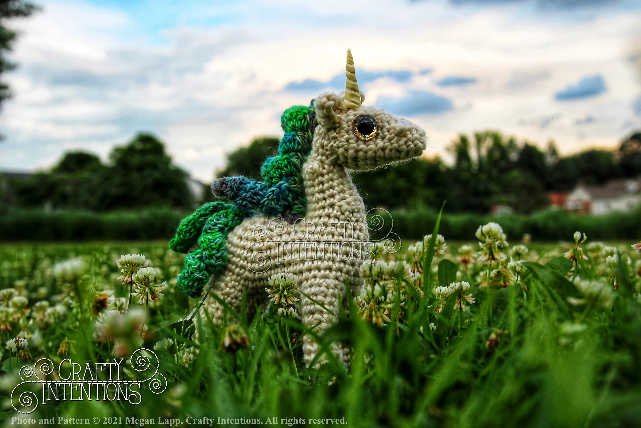 IMG_0484-01 with Logo and Copyright.jpg