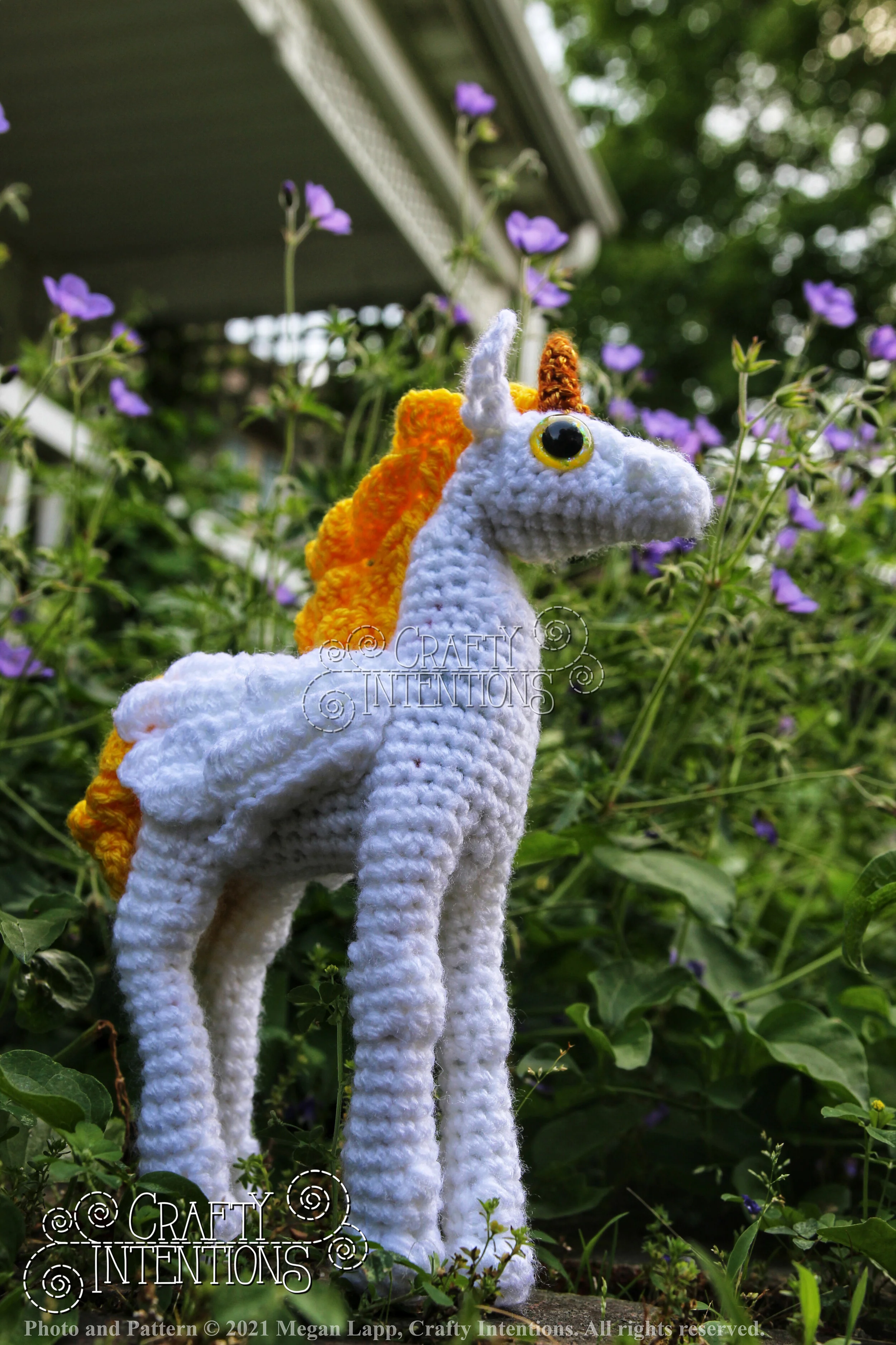 IMG_0497-01 with Copyright and Logo.jpg