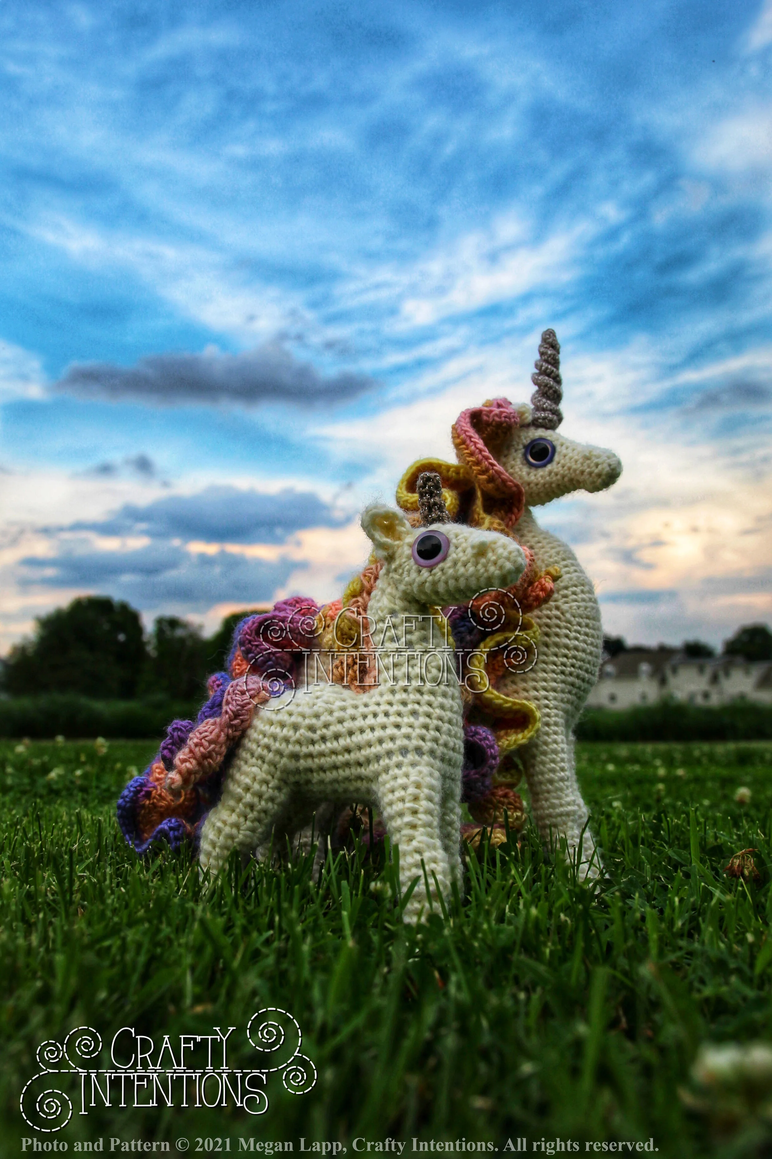 IMG_0729-01 with Logo and Copyright.jpg