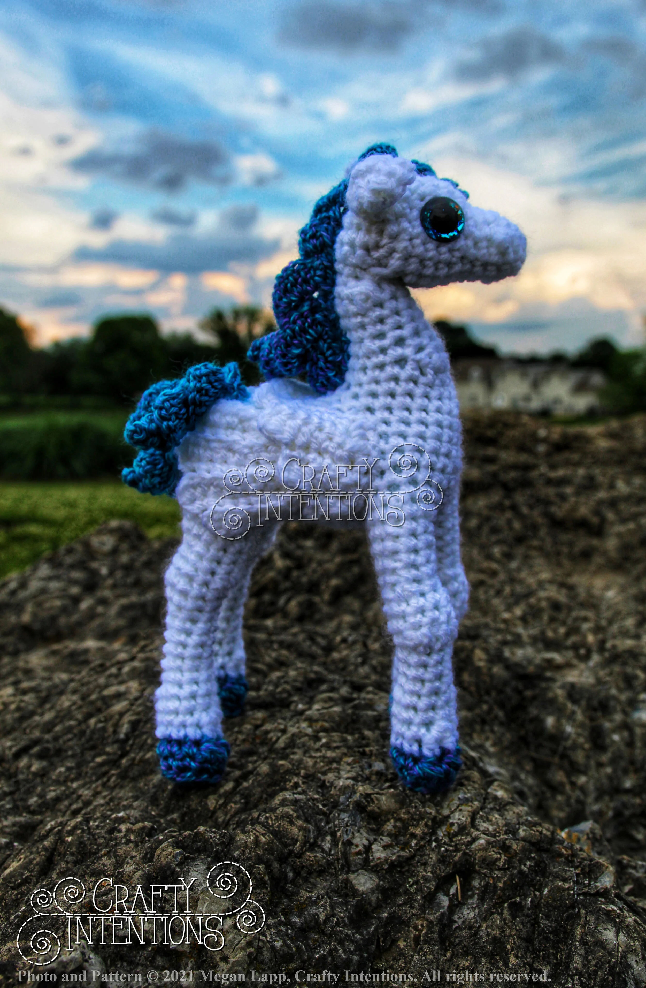 IMG_0836-01 with Logo and Copyright.jpg