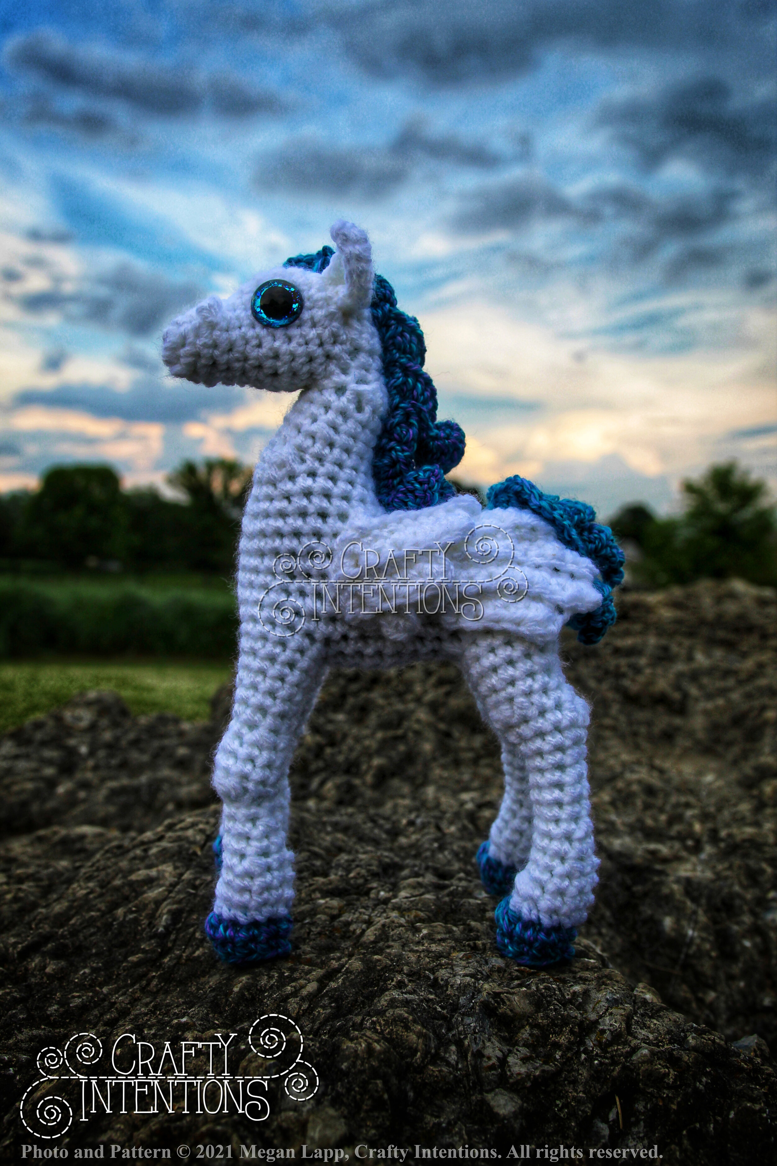 IMG_0851-01 with logo and copyright.jpg