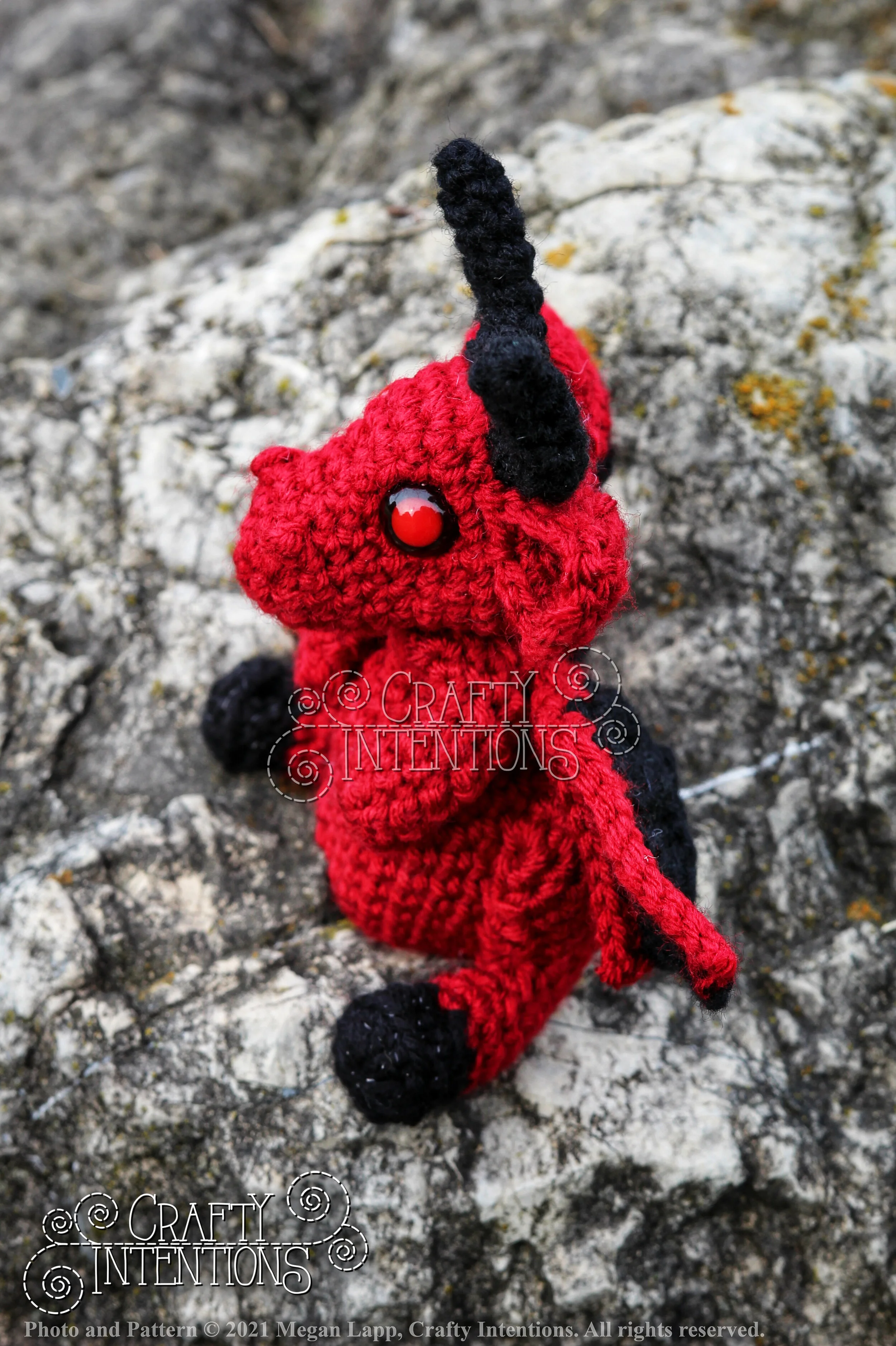 IMG_9773-01 with logo and copyright.jpg