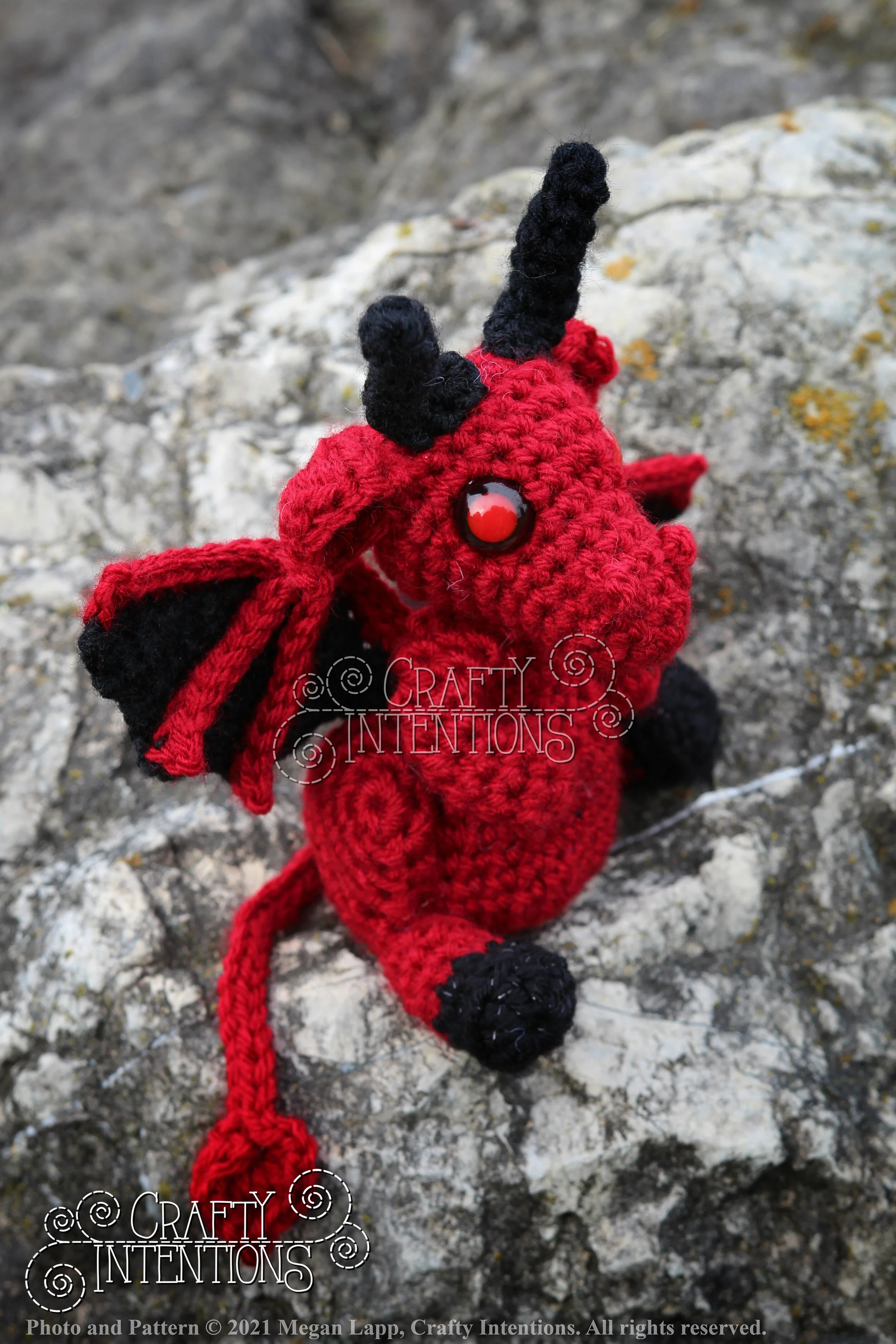 IMG_9777-01 with copyright and logo.jpg