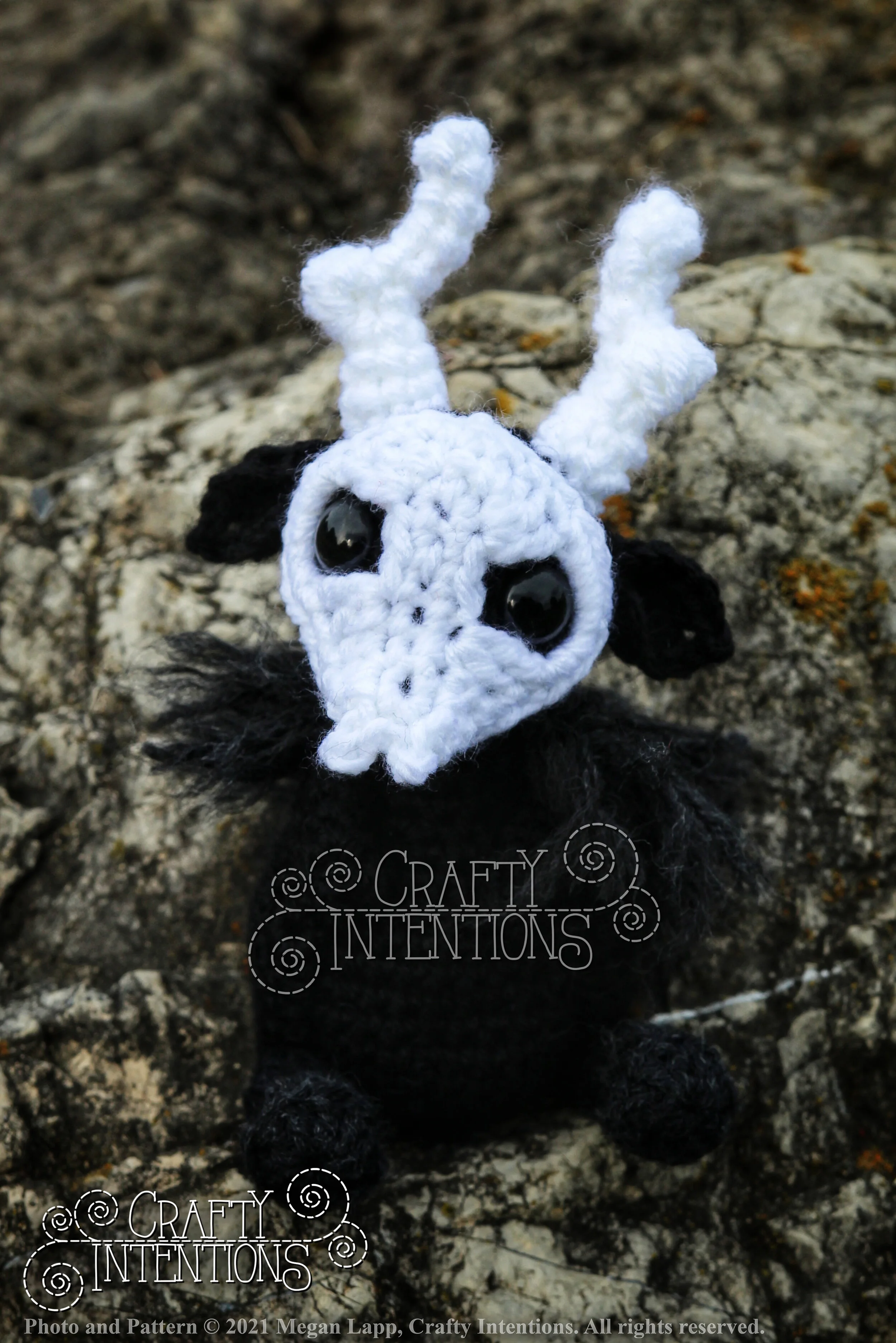 IMG_9780-01 with logo and copyright.jpg