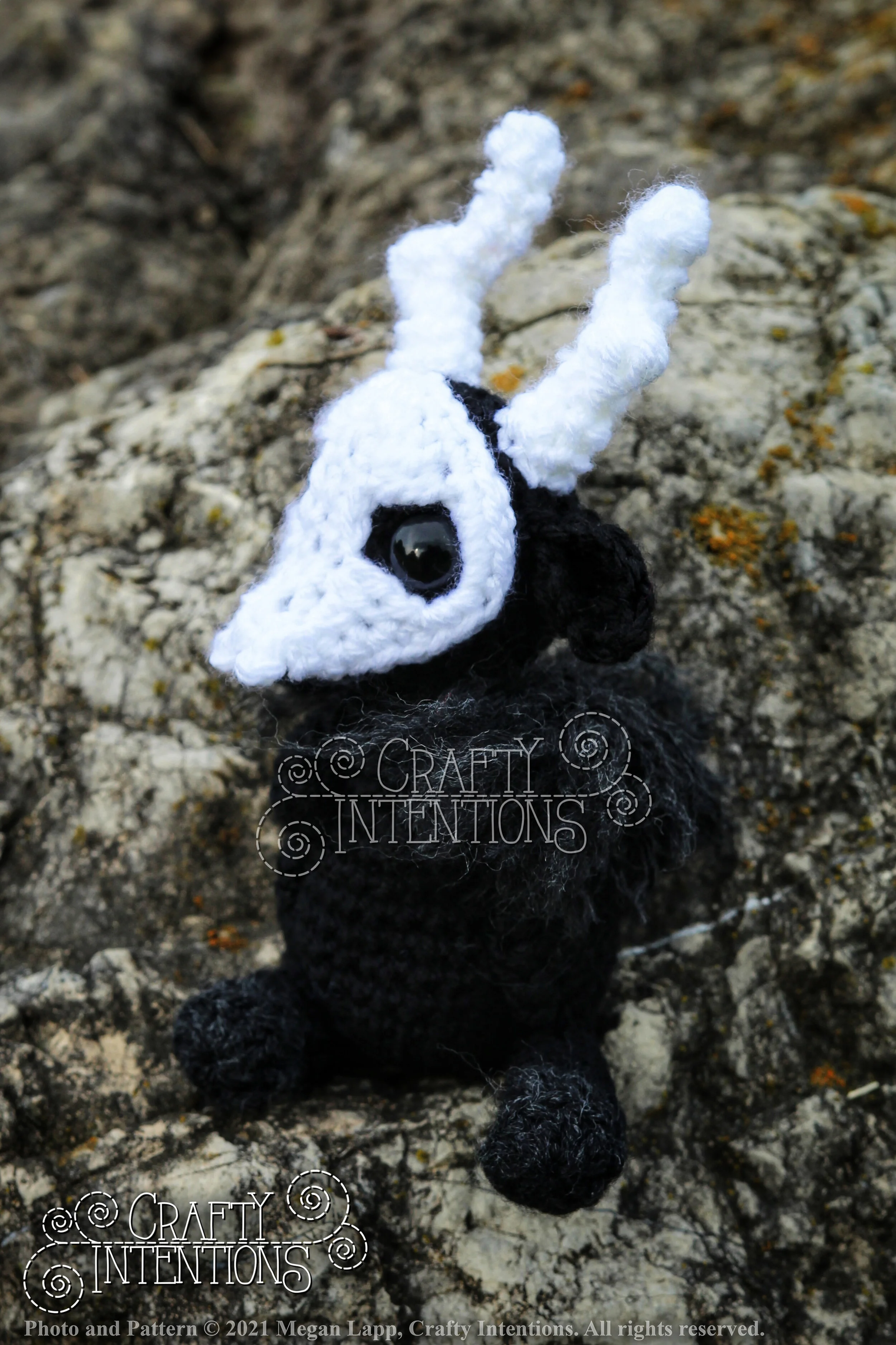 IMG_9782-02 with logo and copyright.jpg