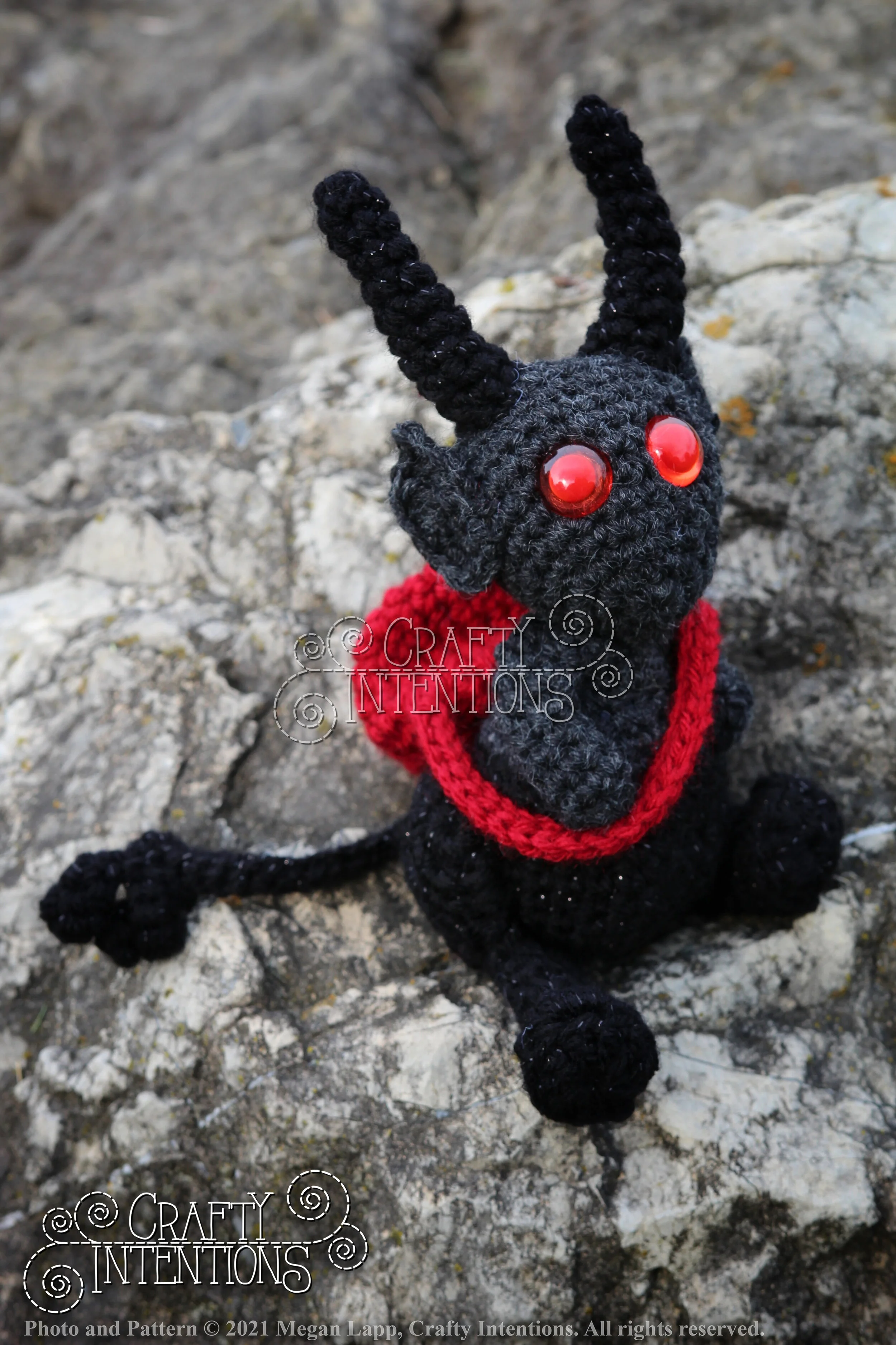 IMG_9791-01 with logo and copyright.jpg