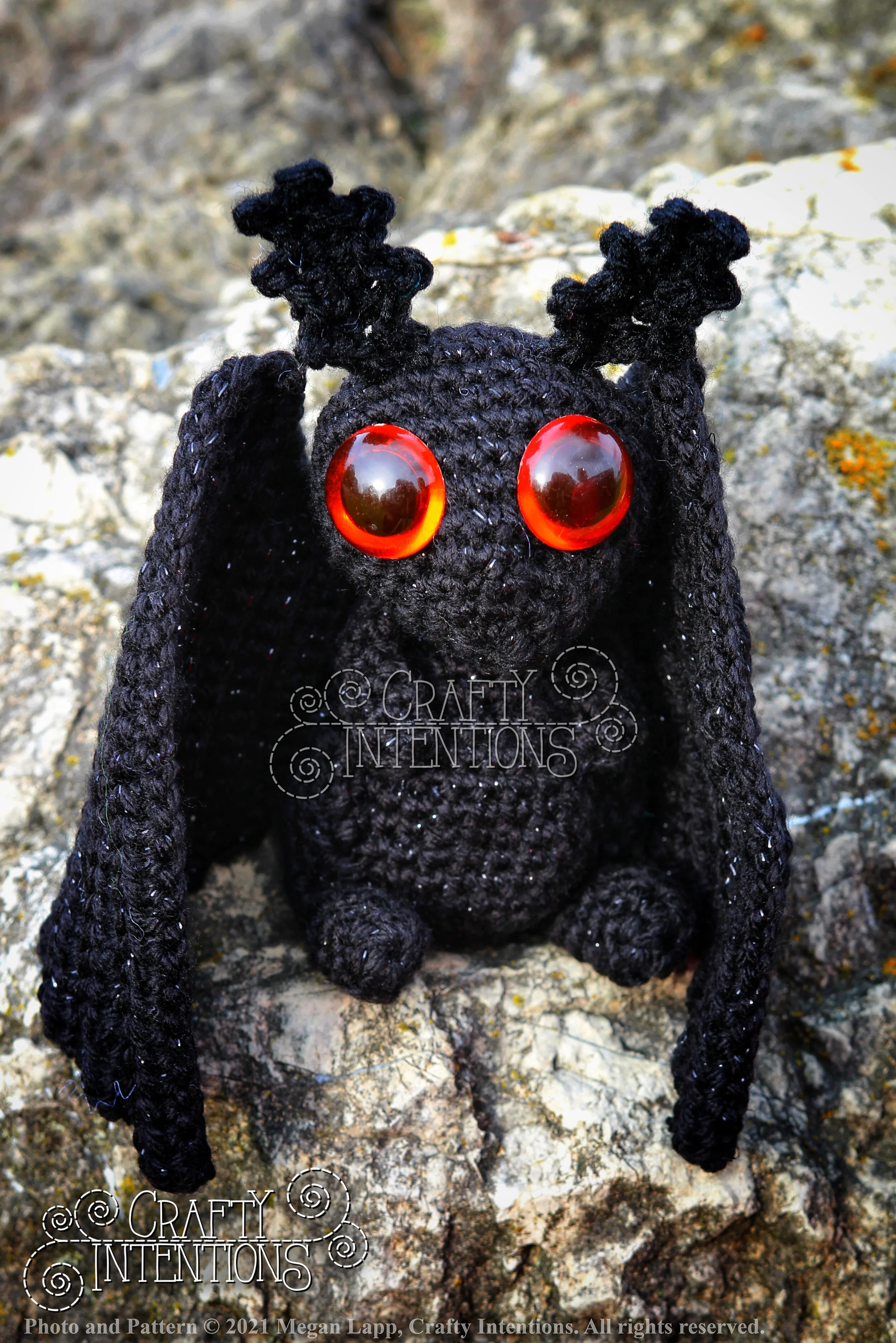 IMG_9818-01 with logo and copyright.jpg