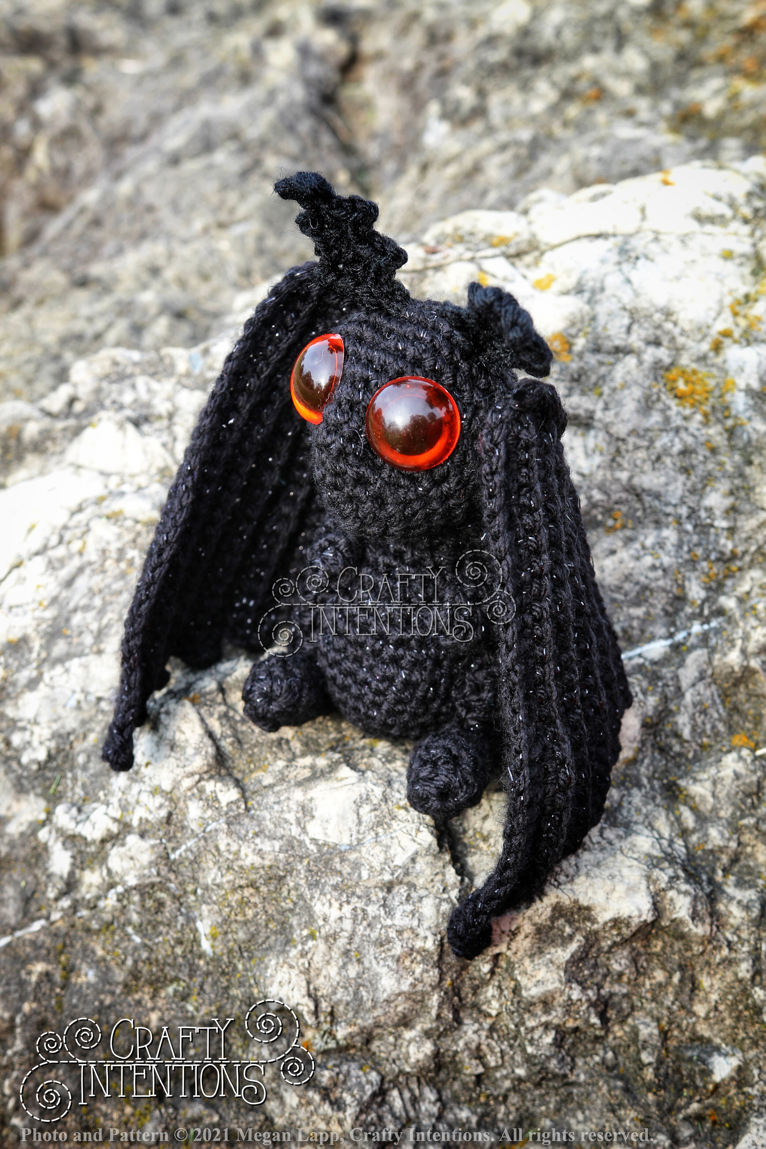 IMG_9820-01 with logo and copyright.jpg