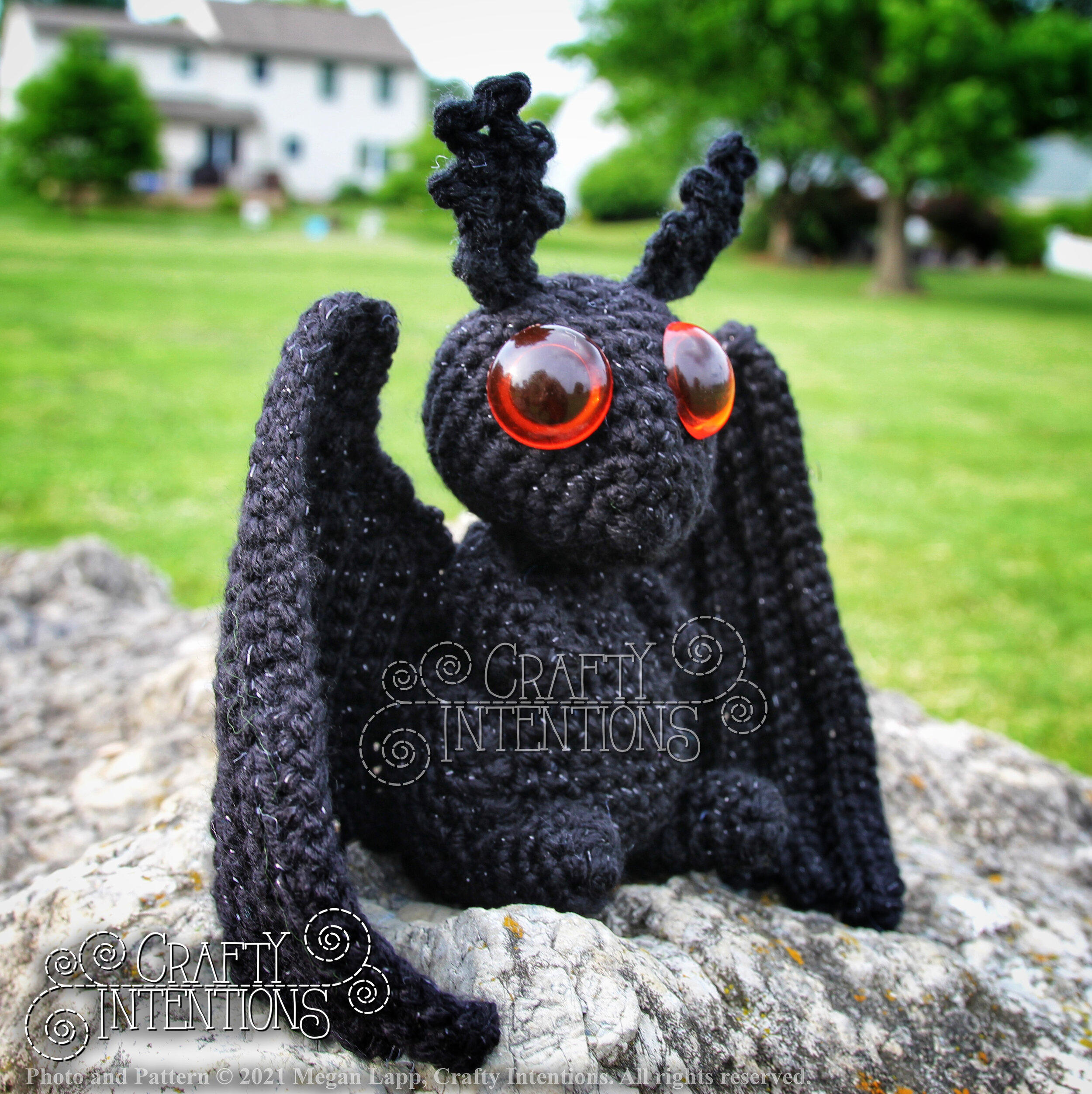 IMG_9828-01 with logo and copyright.jpg