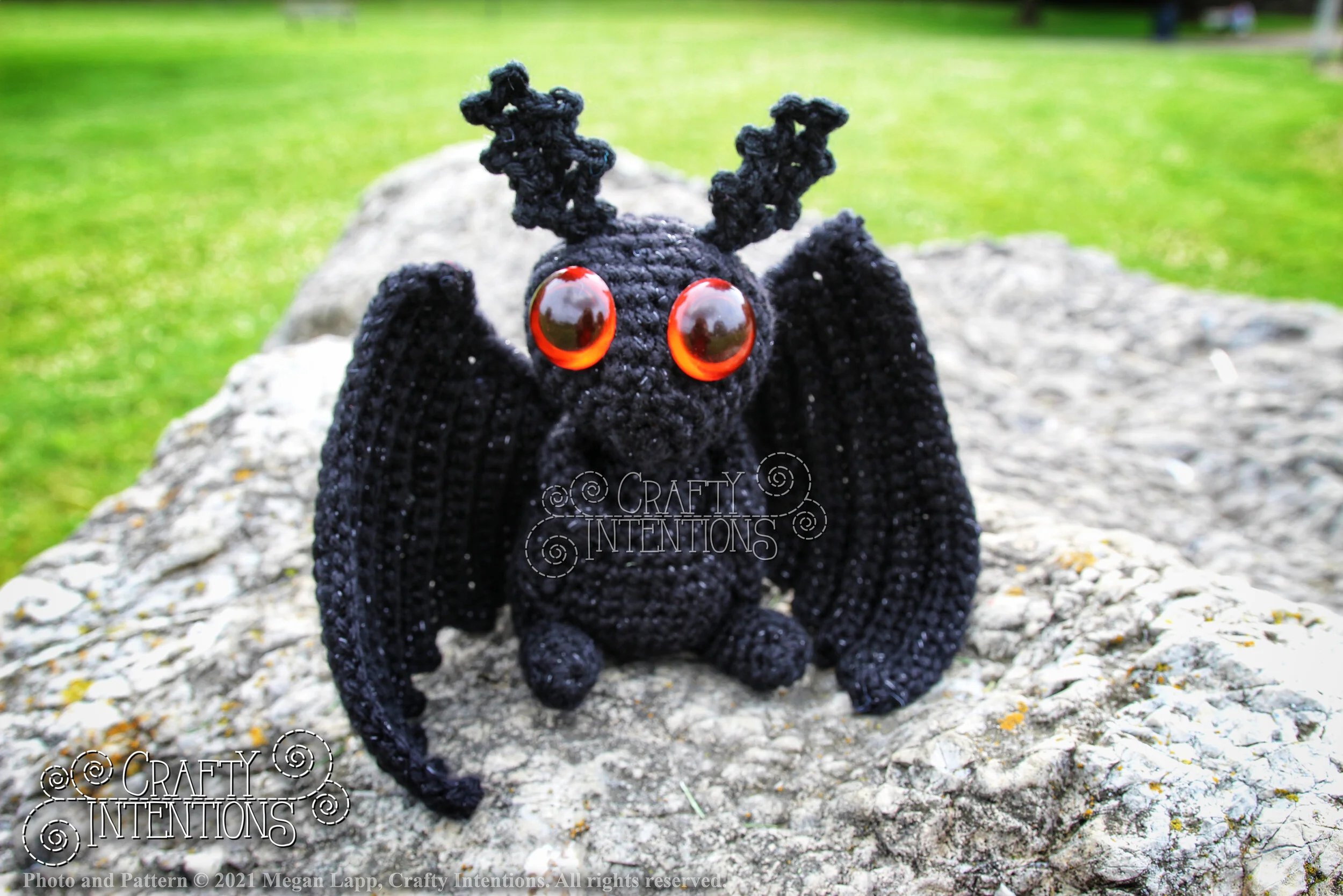 IMG_9831-01 with logo and copyright.jpg