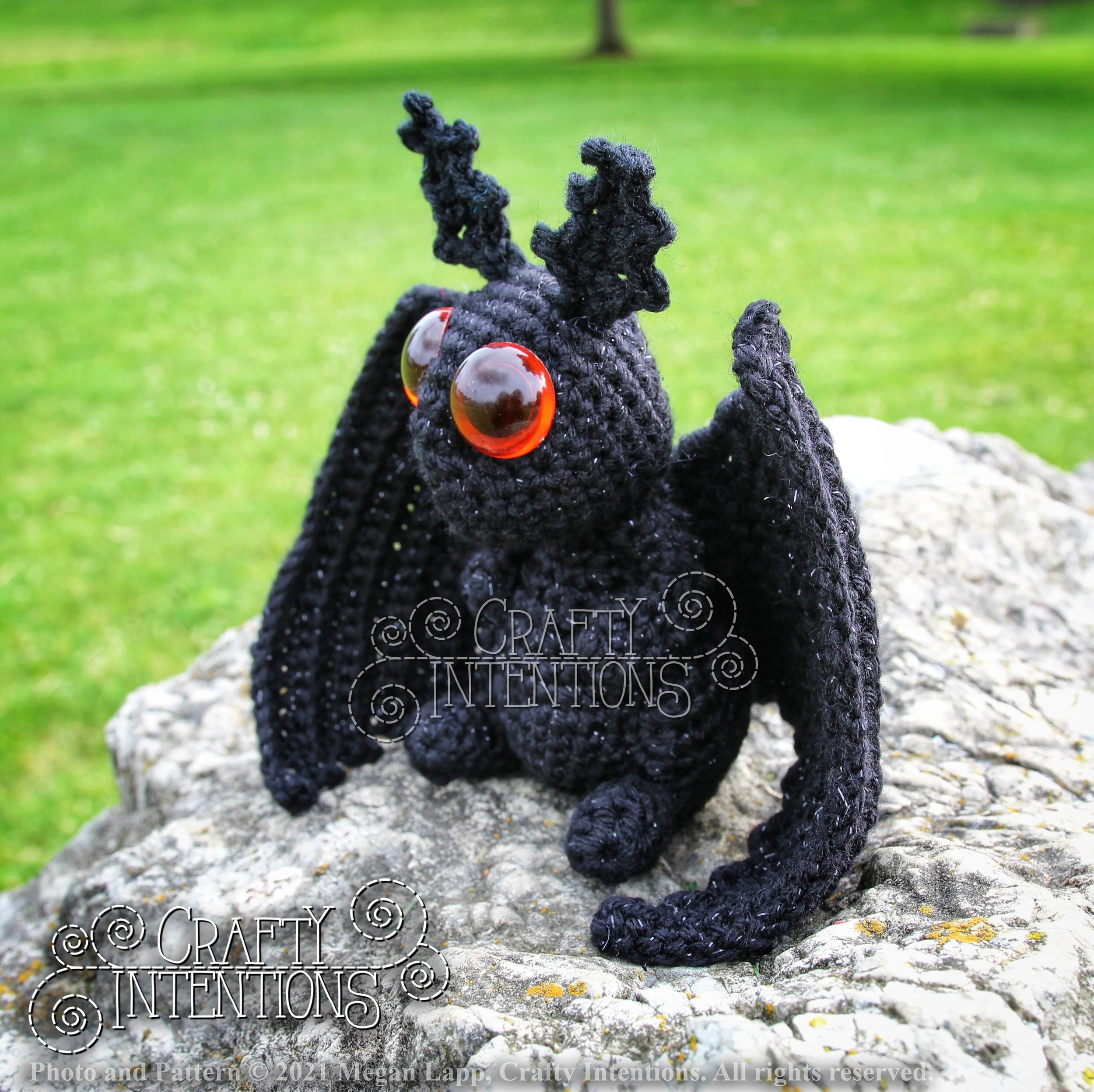 IMG_9833-01 with copyright and logo.jpg