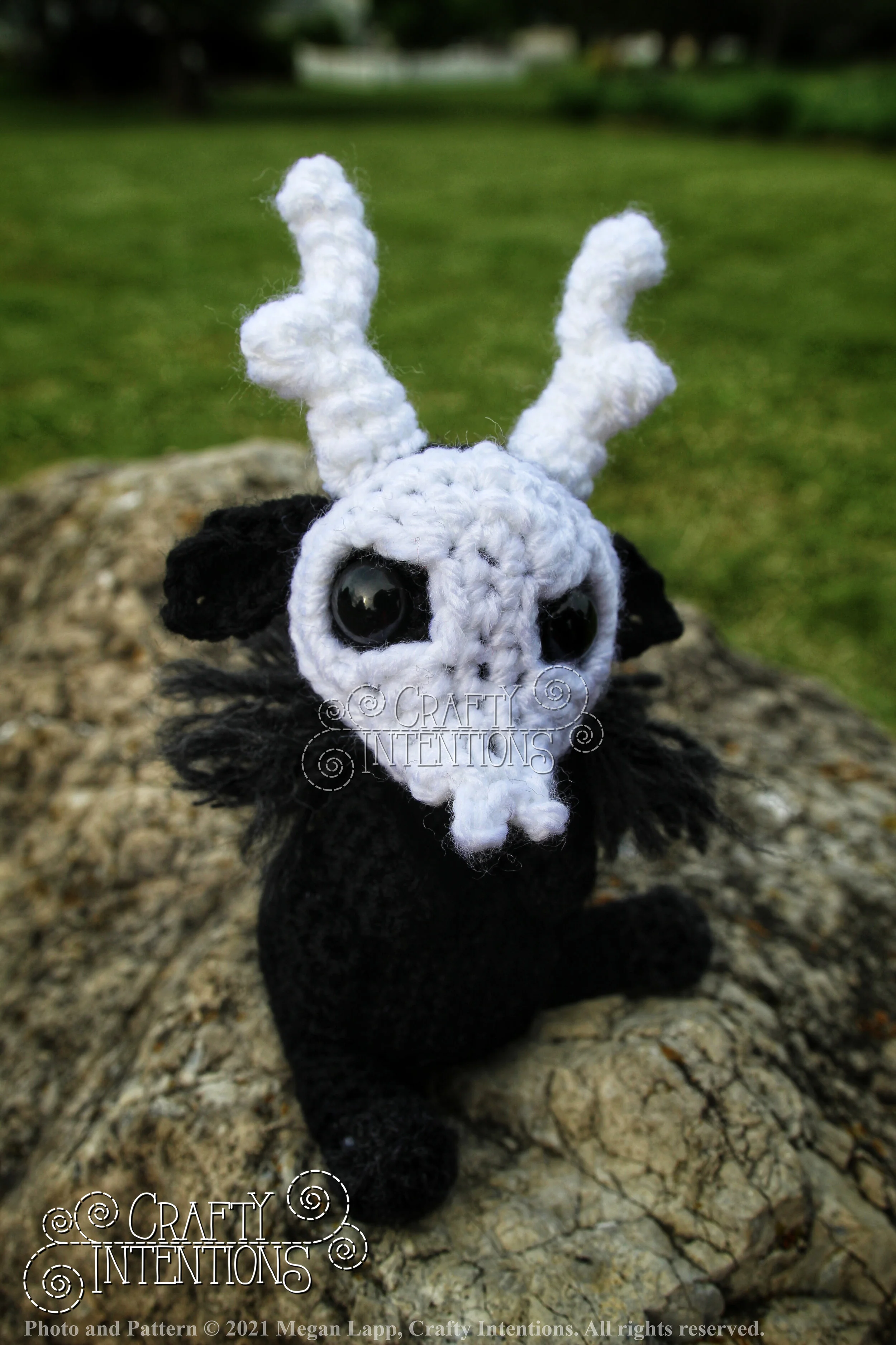 IMG_9922-01 with logo and copyright.jpg