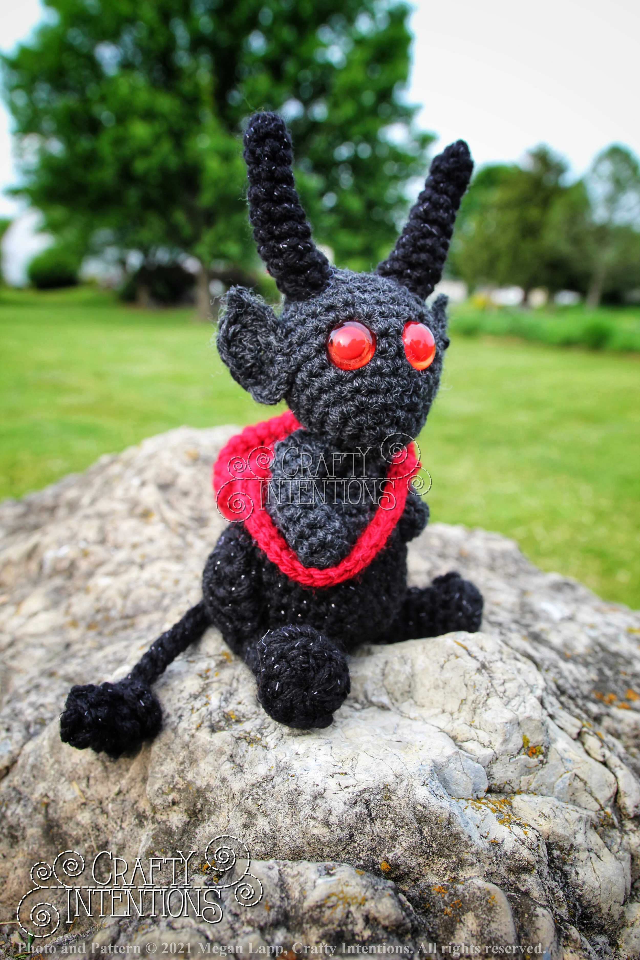 IMG_9902-01 with logo and copyright.jpg