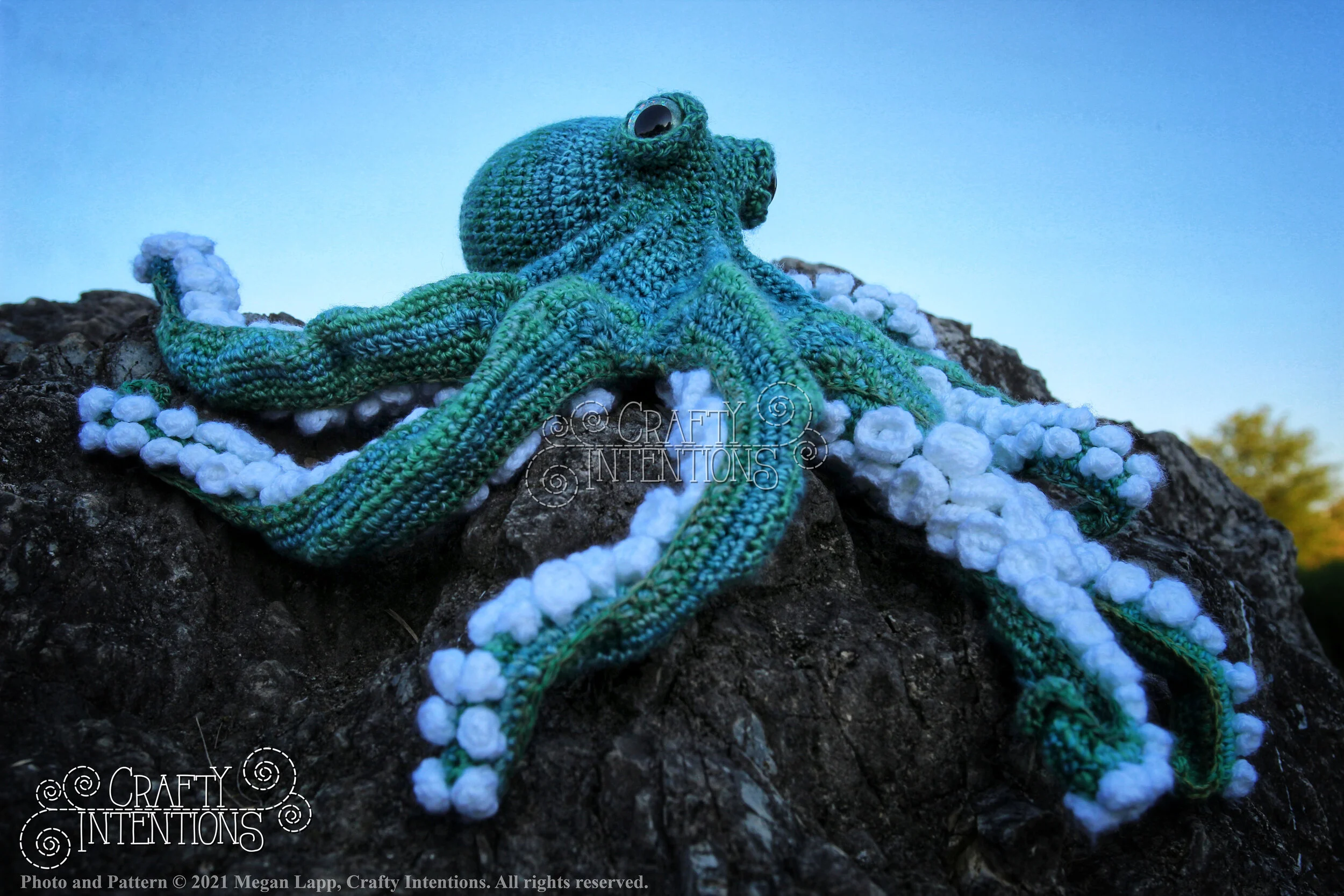 IMG_1067-01 with Logo and Copyright.jpg