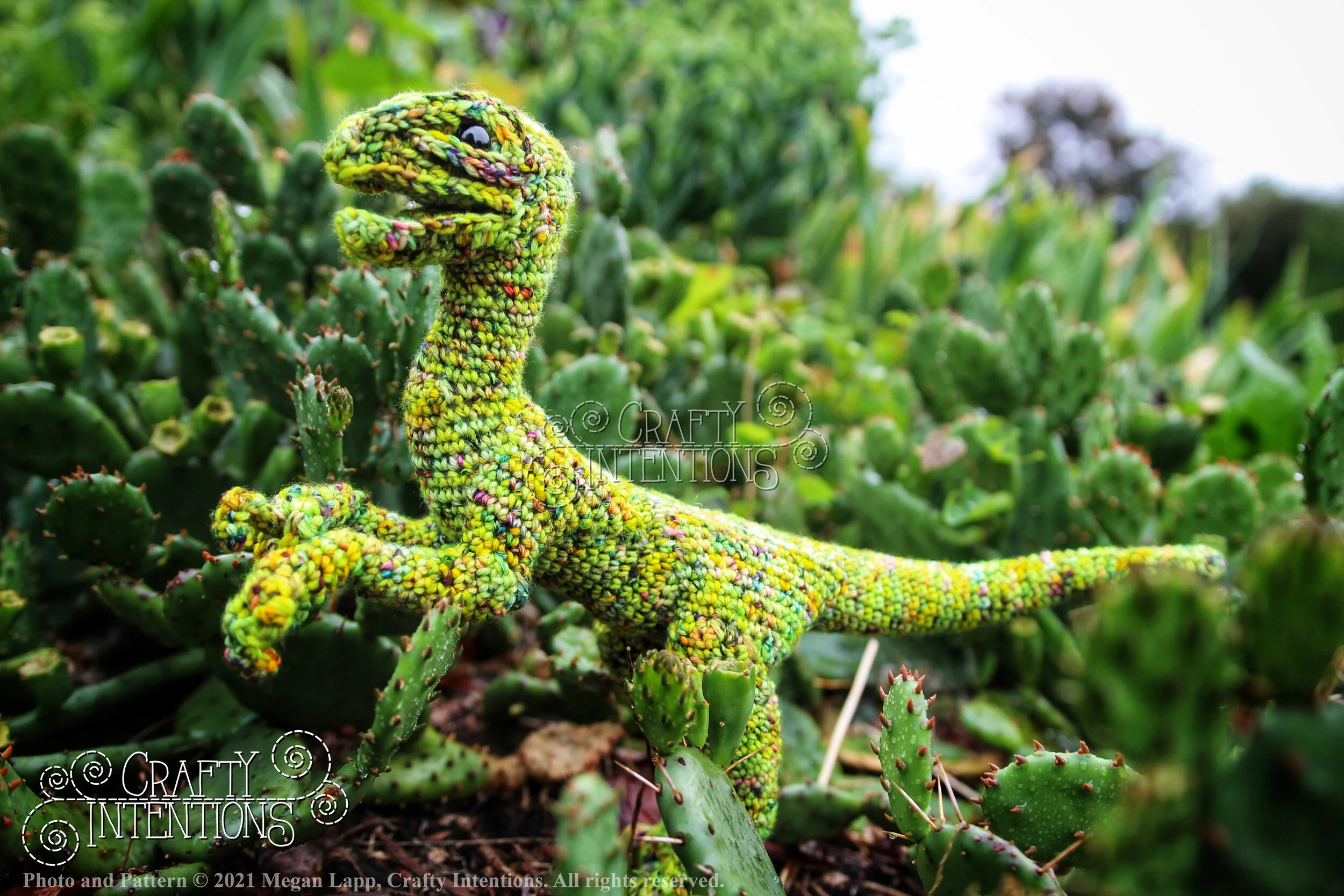 IMG_3716-01 with logo and copyright.jpg