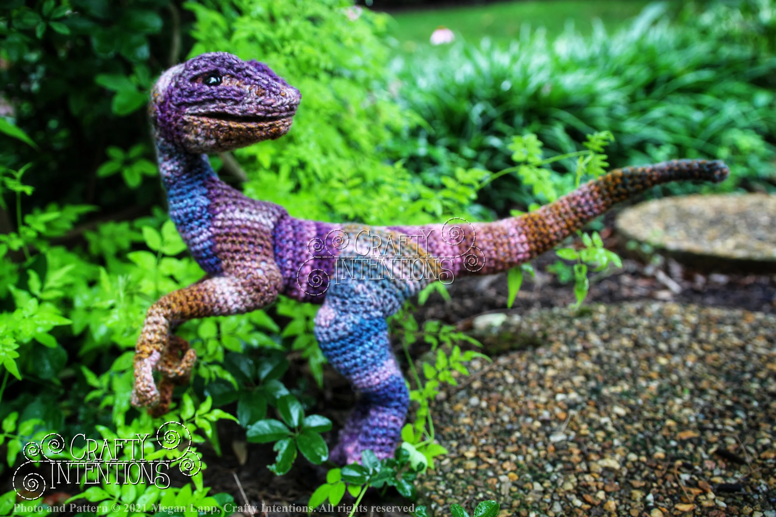 IMG_4282-01 with logo and copyright.jpg