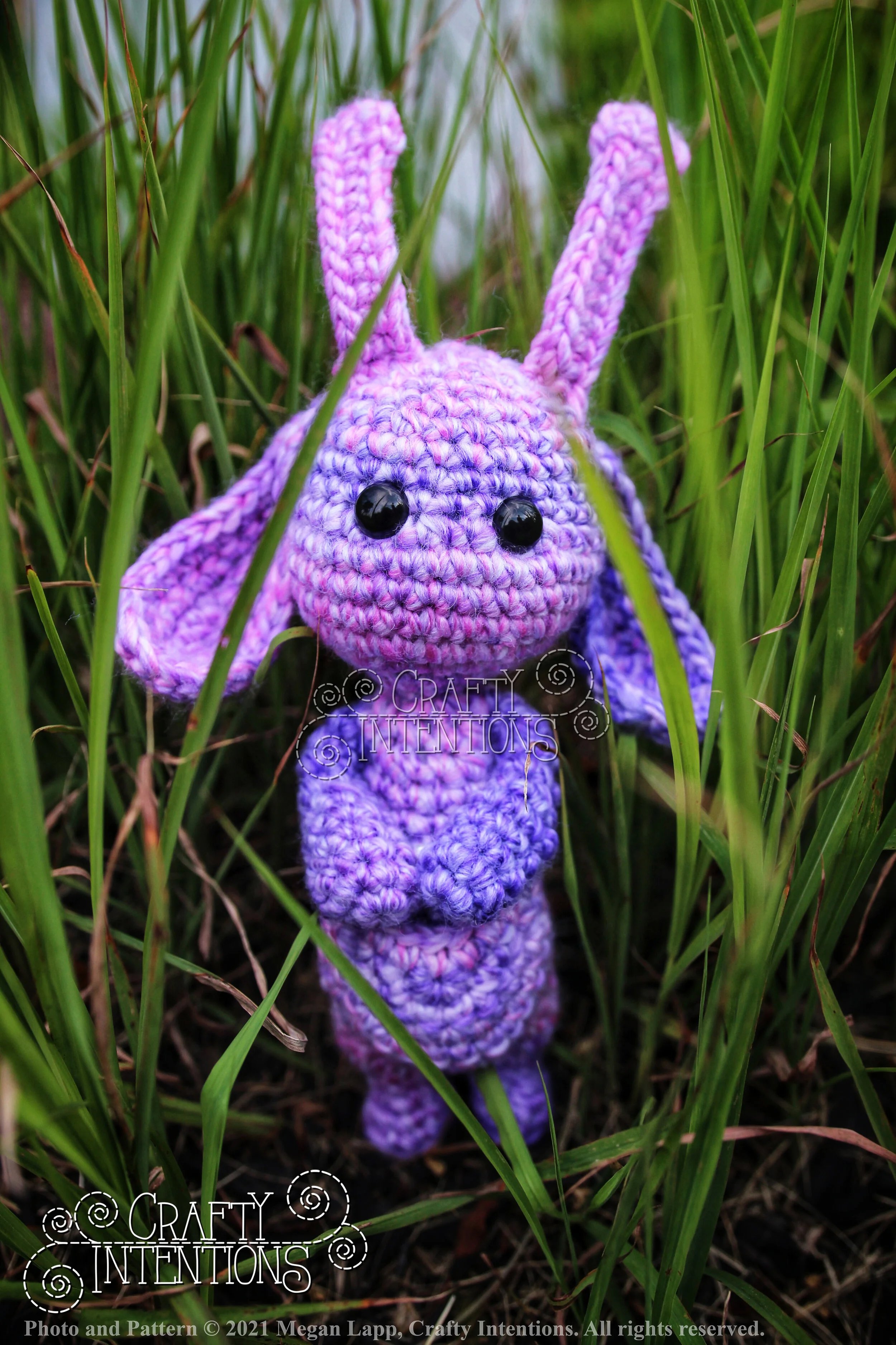 IMG_2876-02 with logo and copyright.jpg