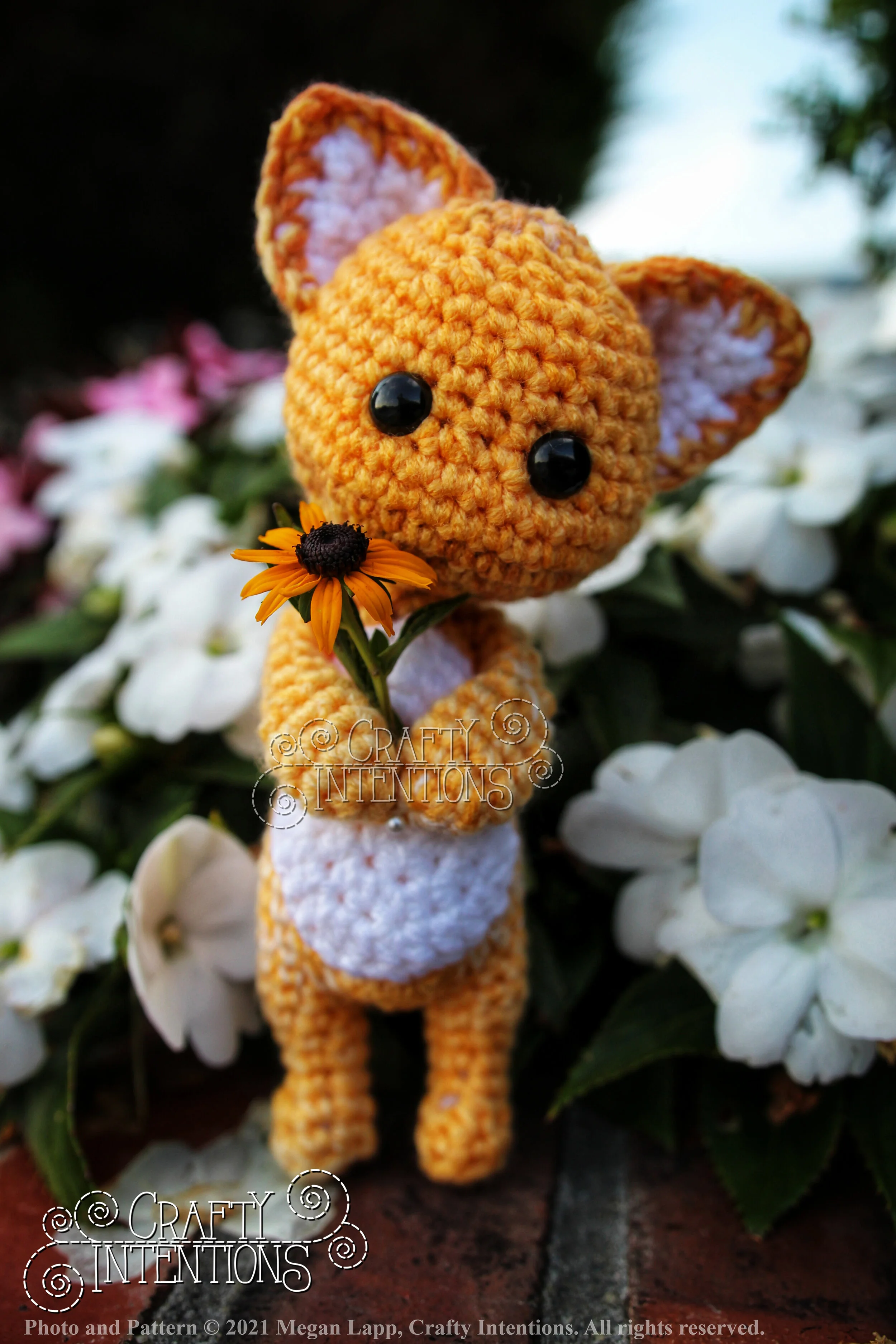 IMG_3183-01 with logo and copyright.jpg