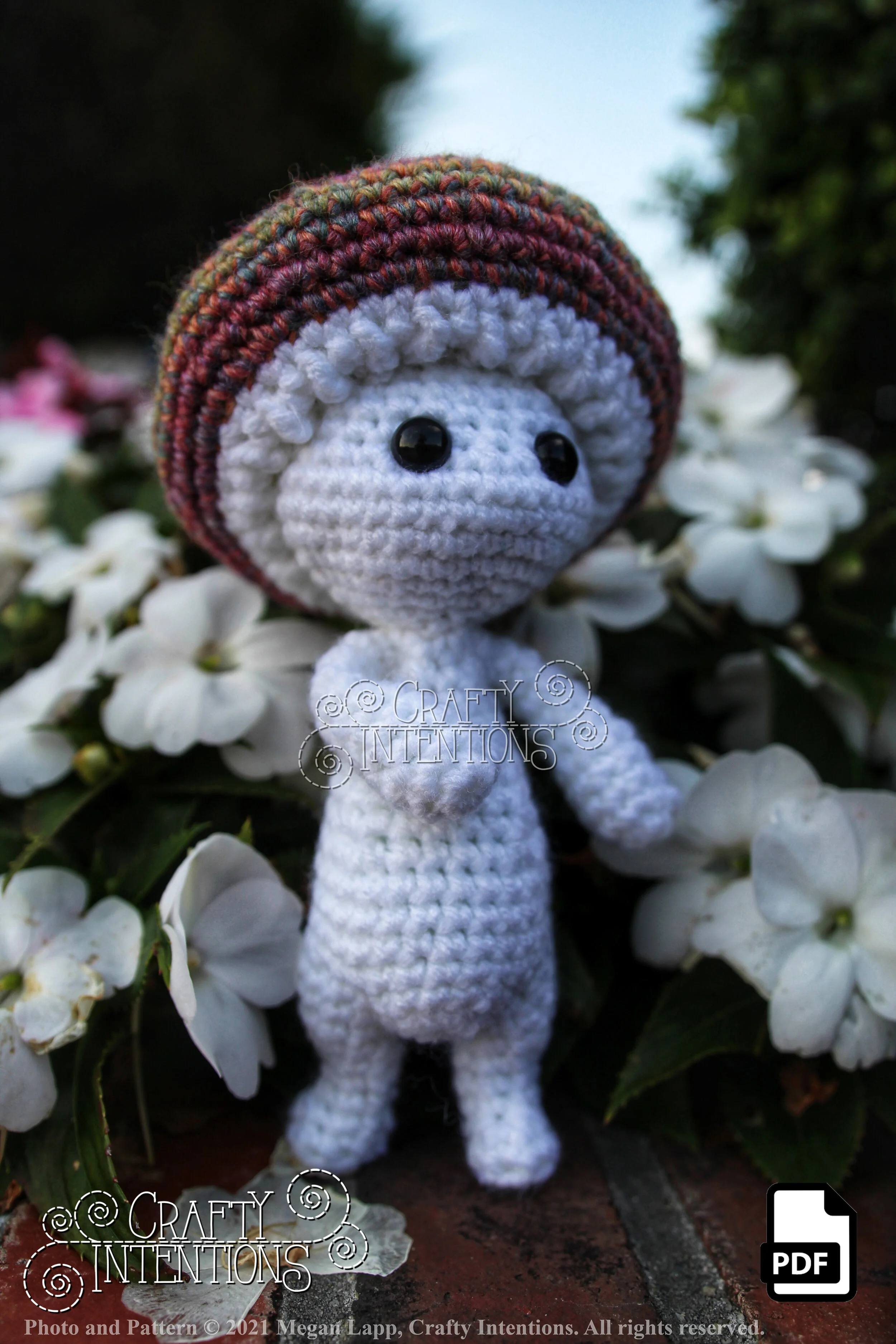 IMG_3210-01 with logo and copyright with PDF Icon.jpg