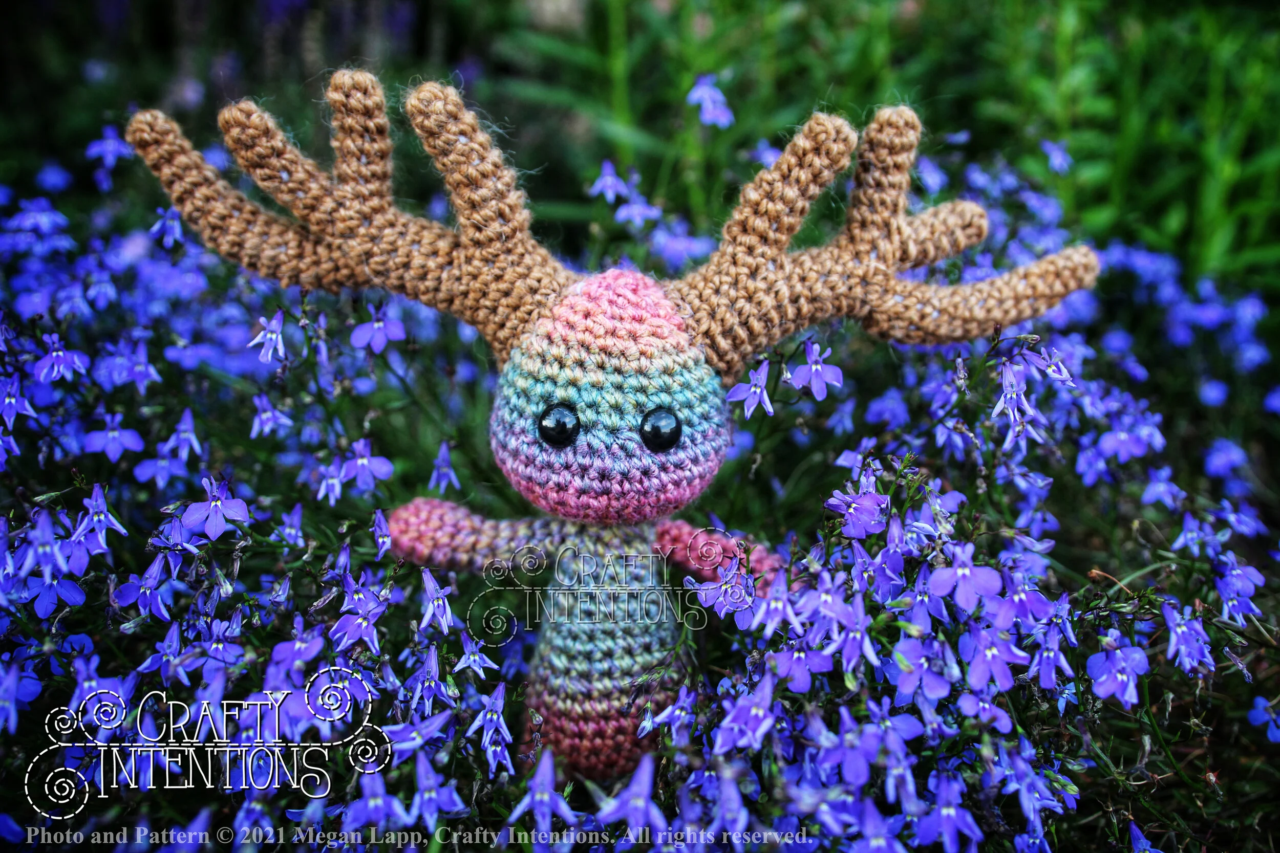 IMG_3296-02 copyright and logo.jpg