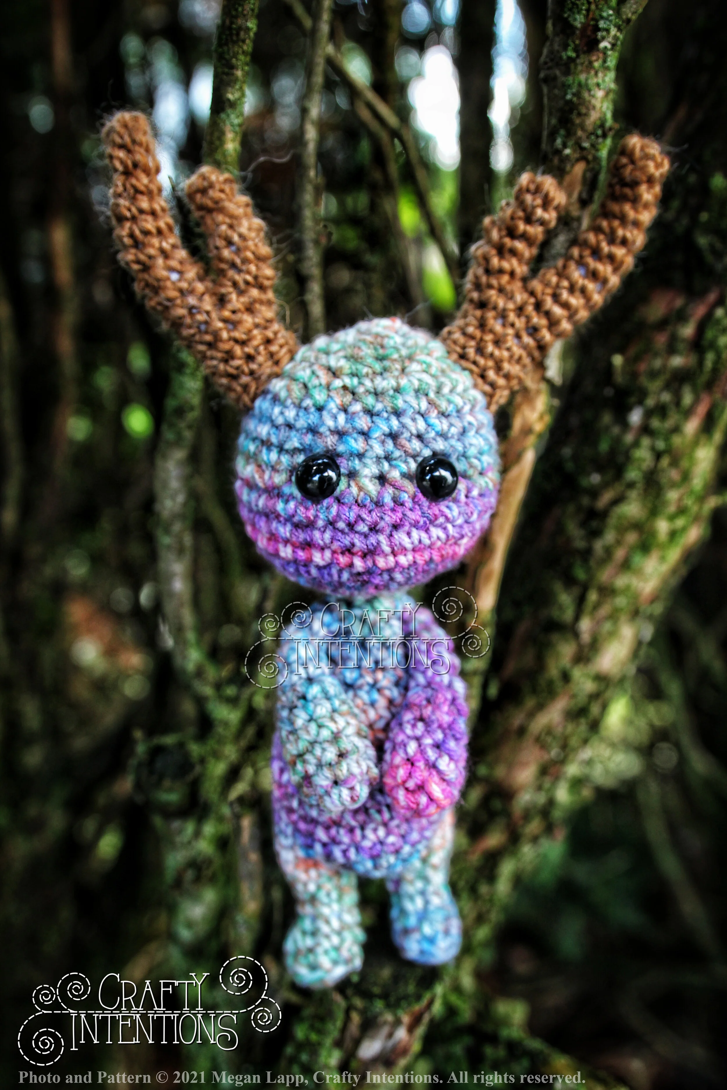 IMG_4298-01 with logo and copyright.jpg