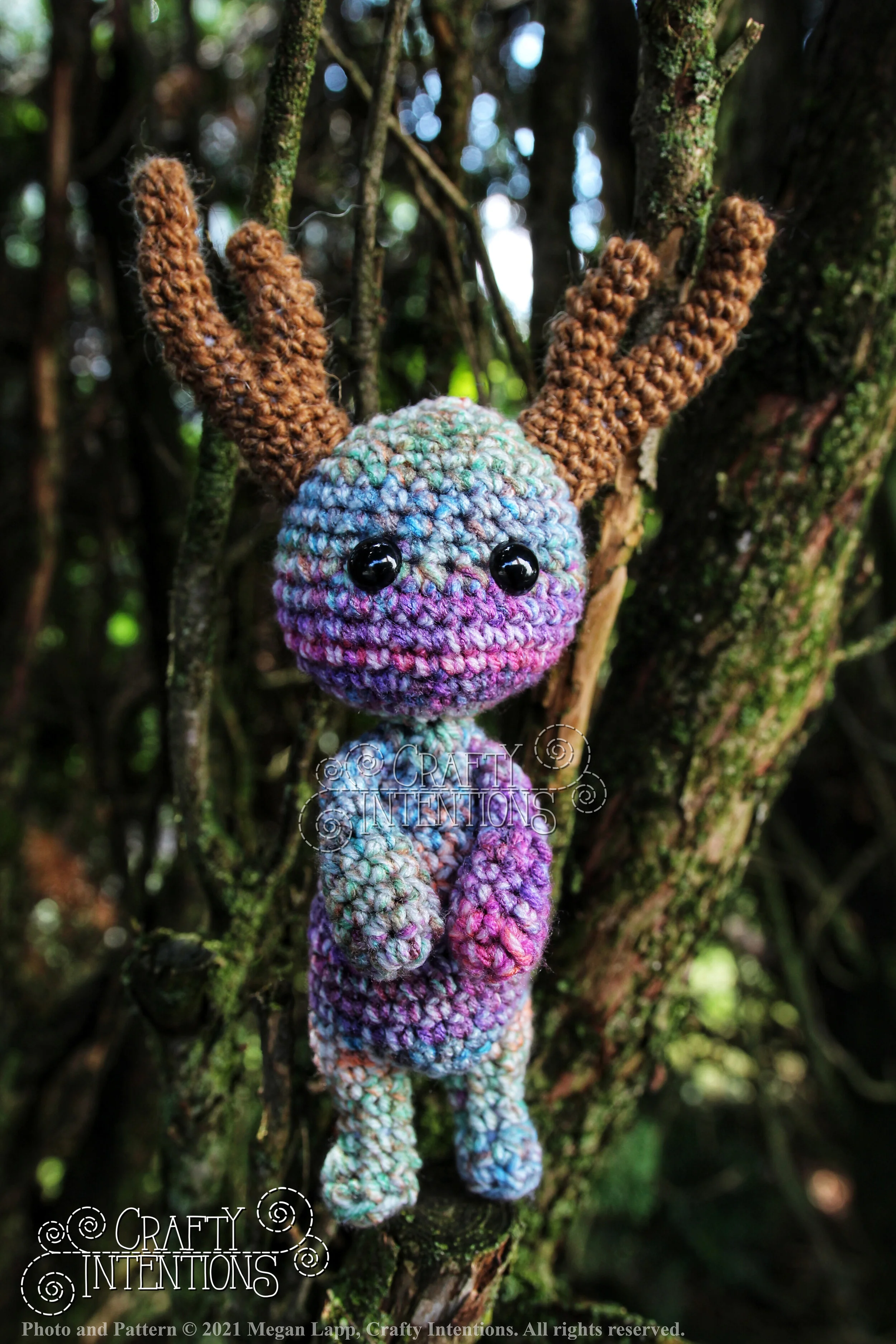 IMG_4310-02 with copyright and logo.jpg