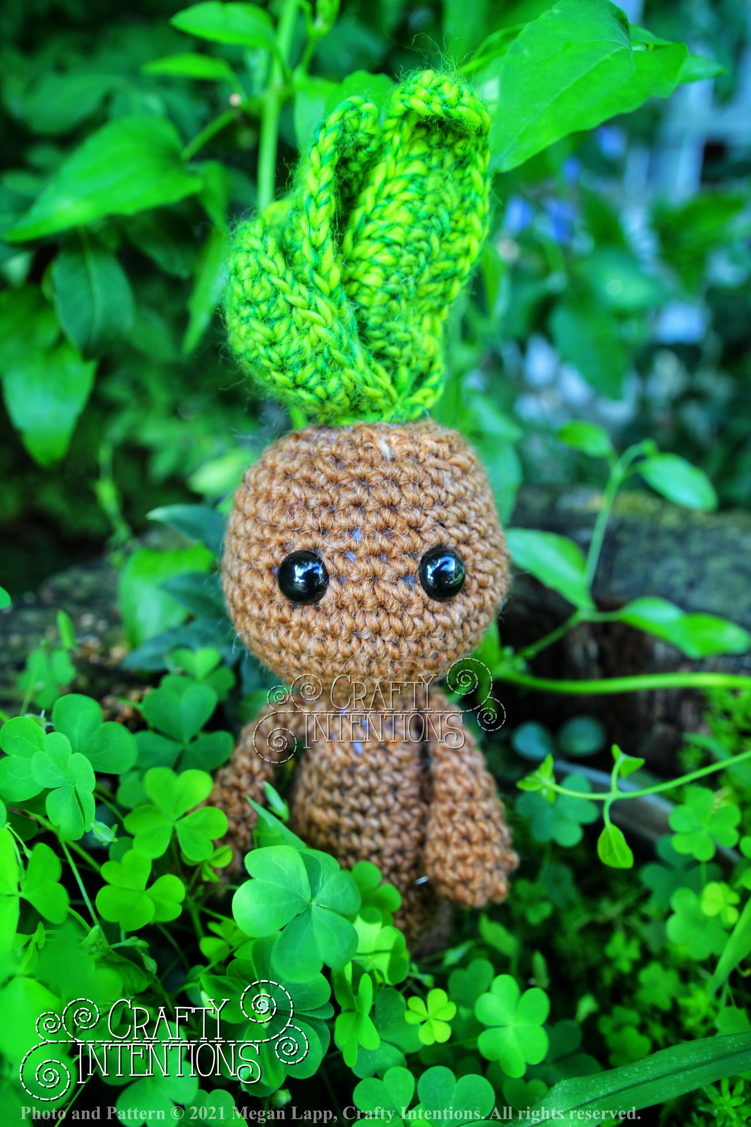 IMG_4317-01 with logo and copyright.jpg